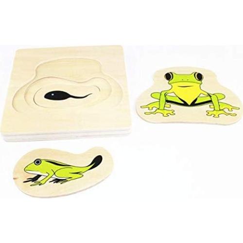 Ciclo de Vida de la Rana Montessori - Juguete Educativo de Madera