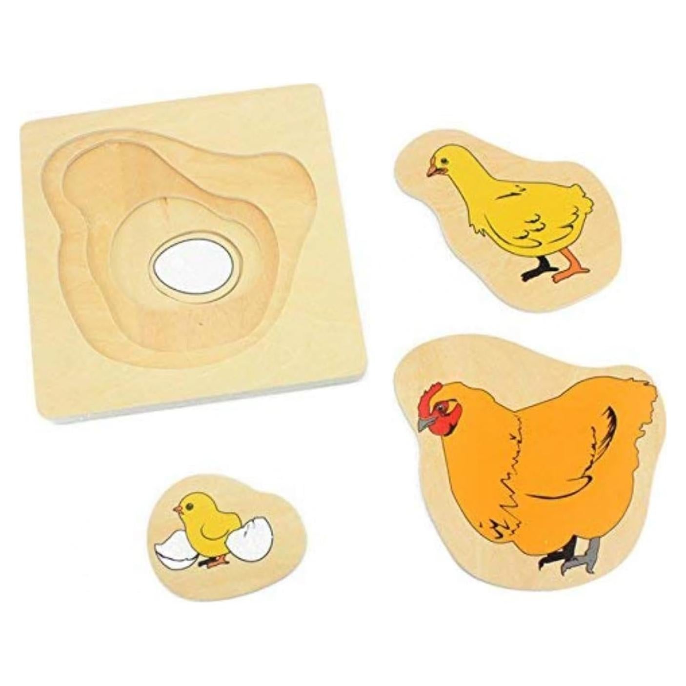 Rompecabezas de Madera Montessori DANNI Ciclo de Vida Gallina