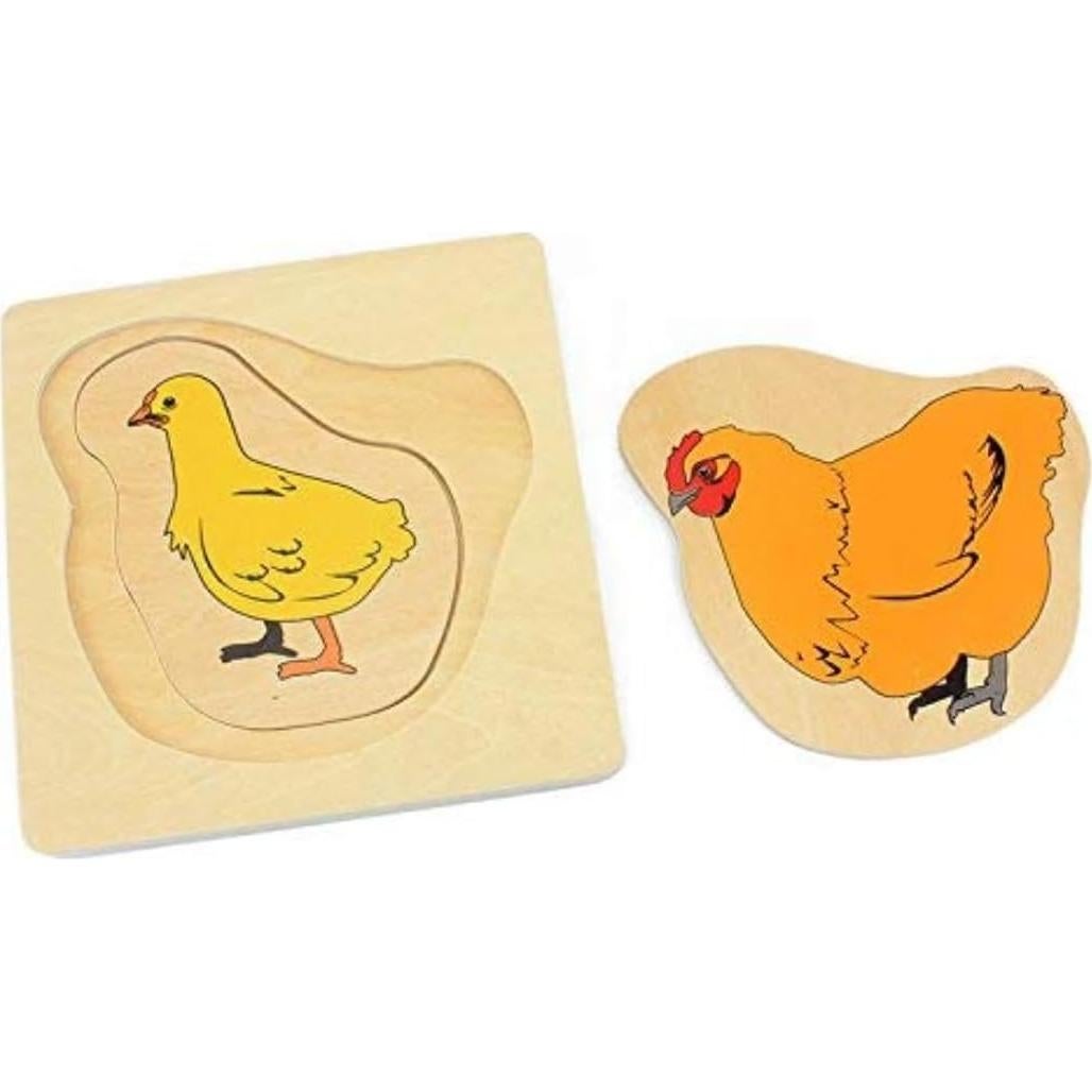 Rompecabezas de Madera Montessori DANNI Ciclo de Vida Gallina