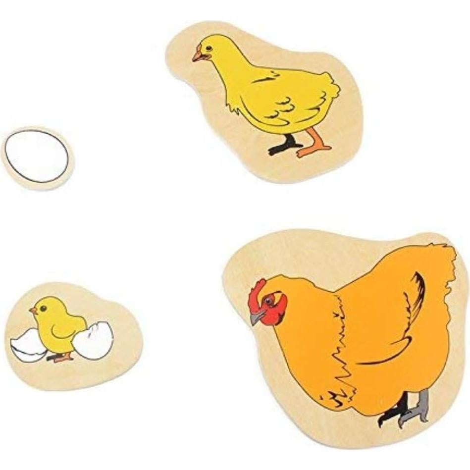 Rompecabezas de Madera Montessori DANNI Ciclo de Vida Gallina