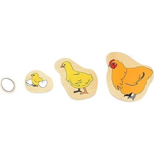 Rompecabezas de Madera Montessori DANNI Ciclo de Vida Gallina