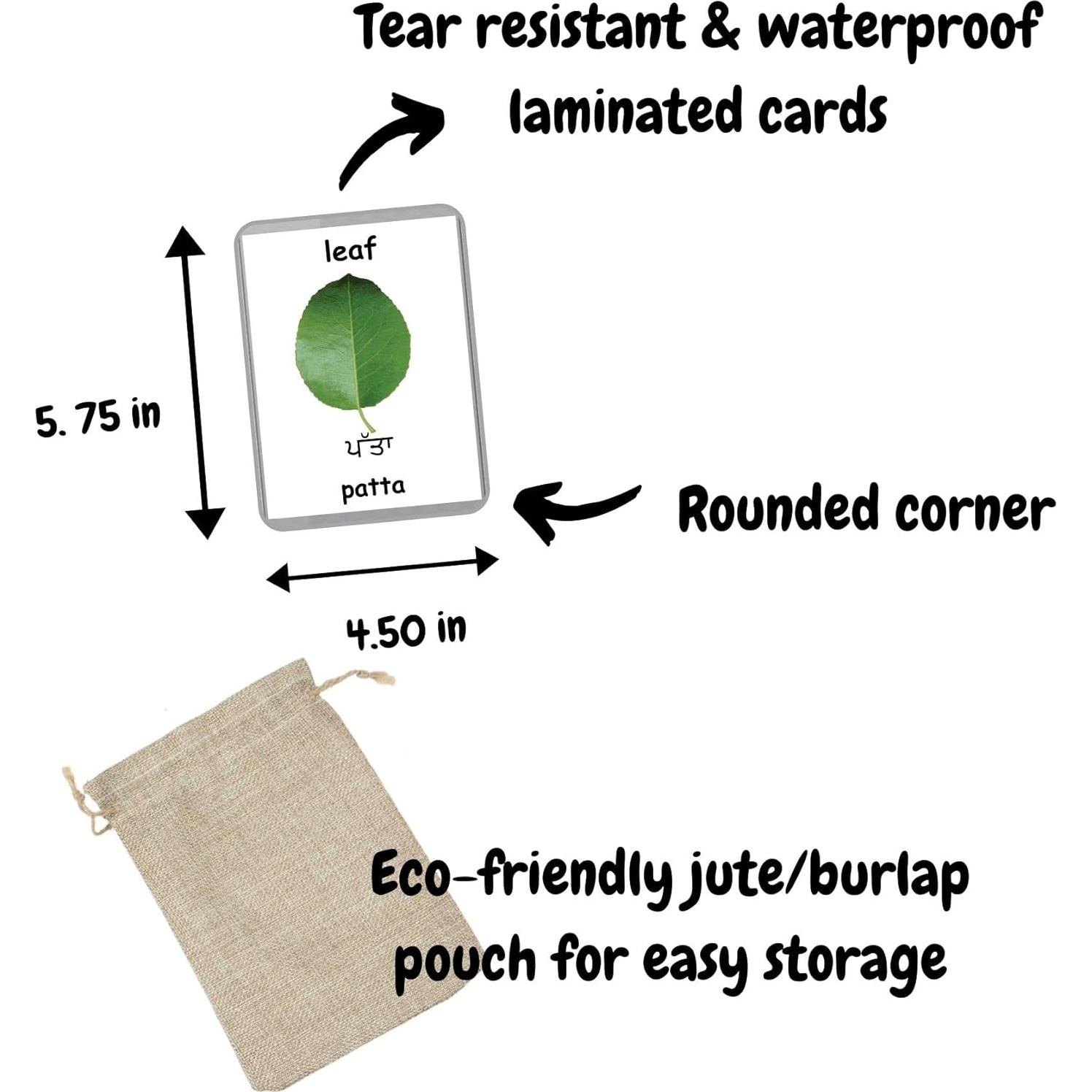 Tarjetas de Flash Bilingües LifeLoLo - 48 Palabras para Bebés