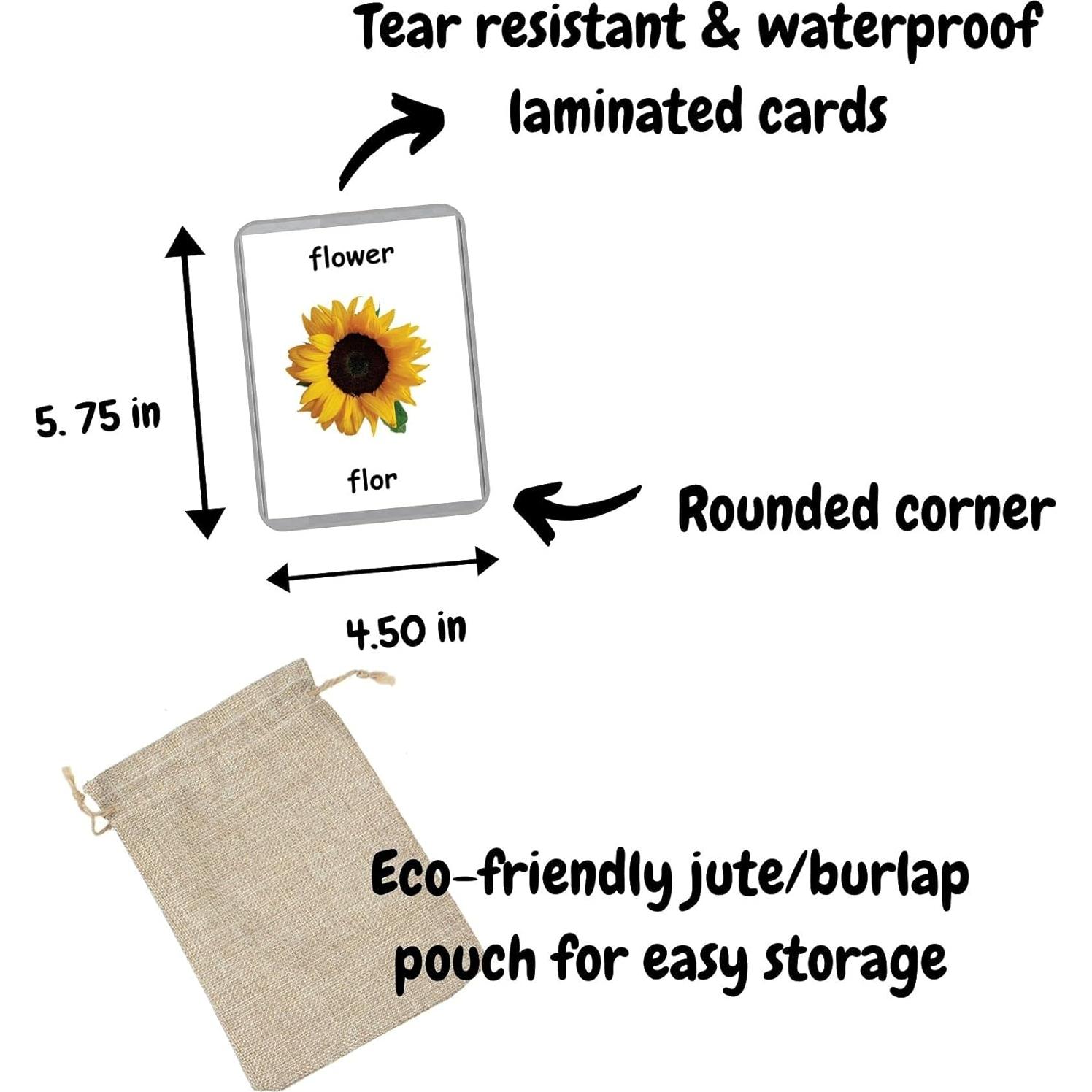 Tarjetas de Palabras Iniciales LifeLoLo - 48 Tarjetas Bilingües