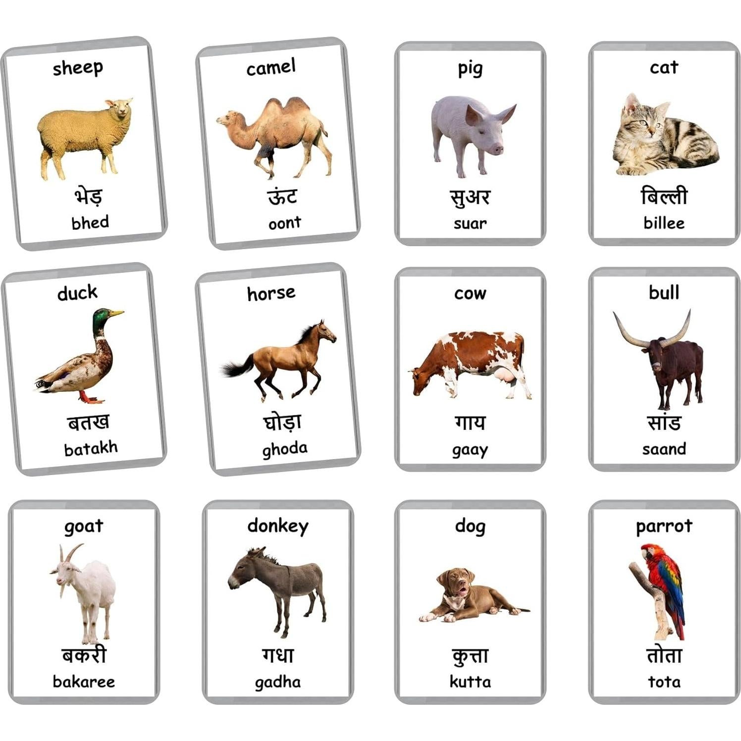 Tarjetas Didácticas Bilingües Hindi-Inglés - Animales de Granja