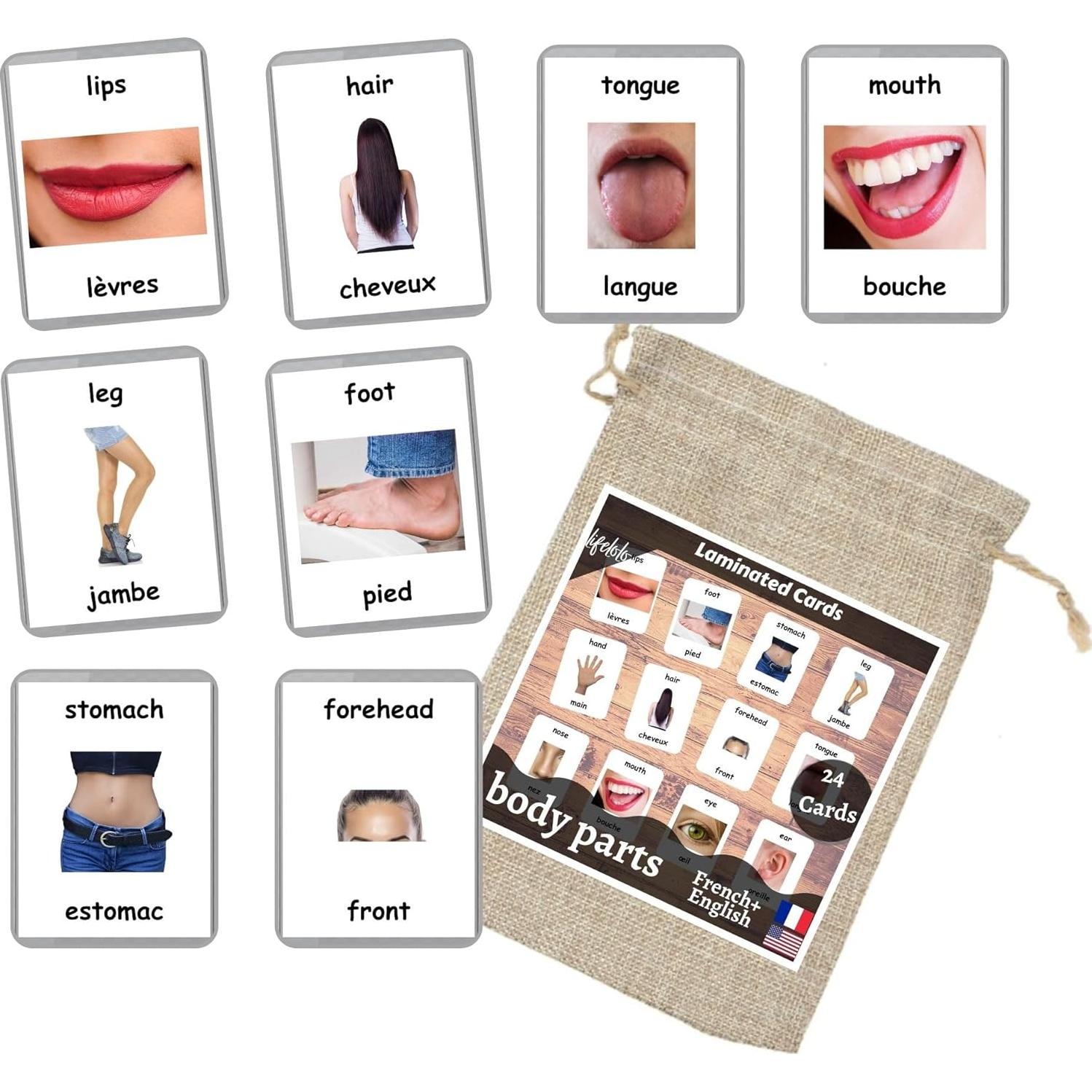 Tarjetas de Flash Bilingües Francés-Inglés LifeLoLo - Partes del Cuerpo