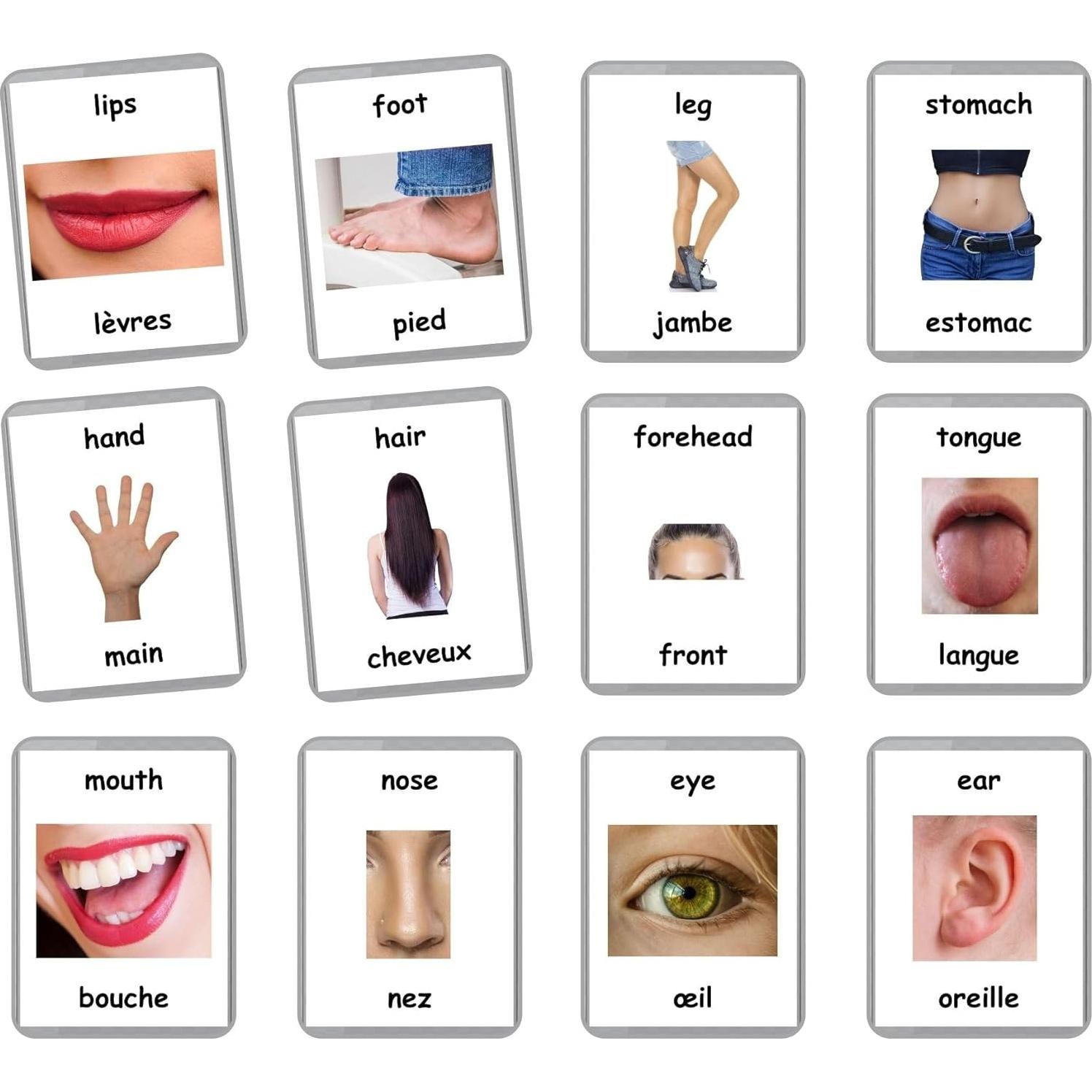 Tarjetas de Flash Bilingües Francés-Inglés LifeLoLo - Partes del Cuerpo