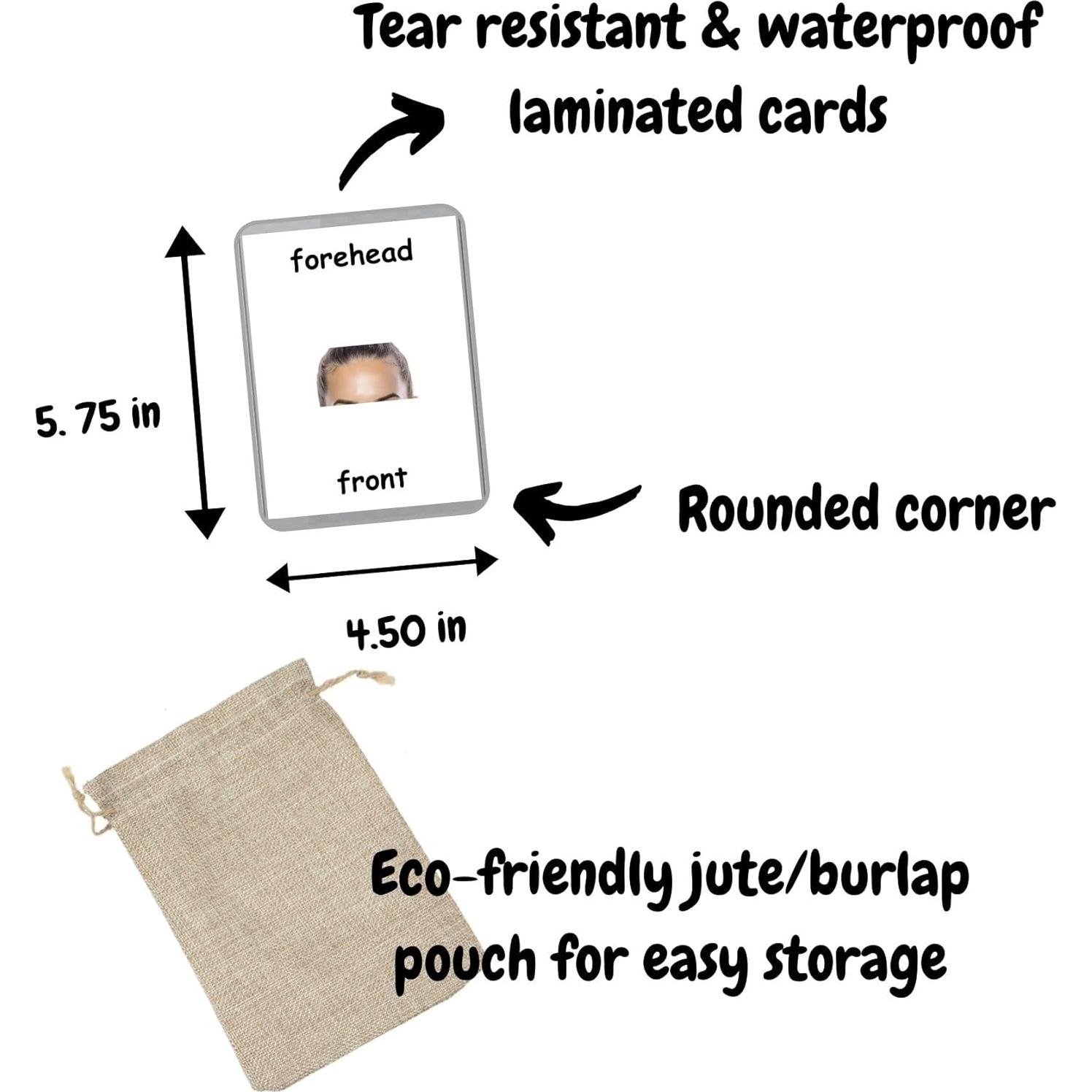 Tarjetas de Flash Bilingües Francés-Inglés LifeLoLo - Partes del Cuerpo