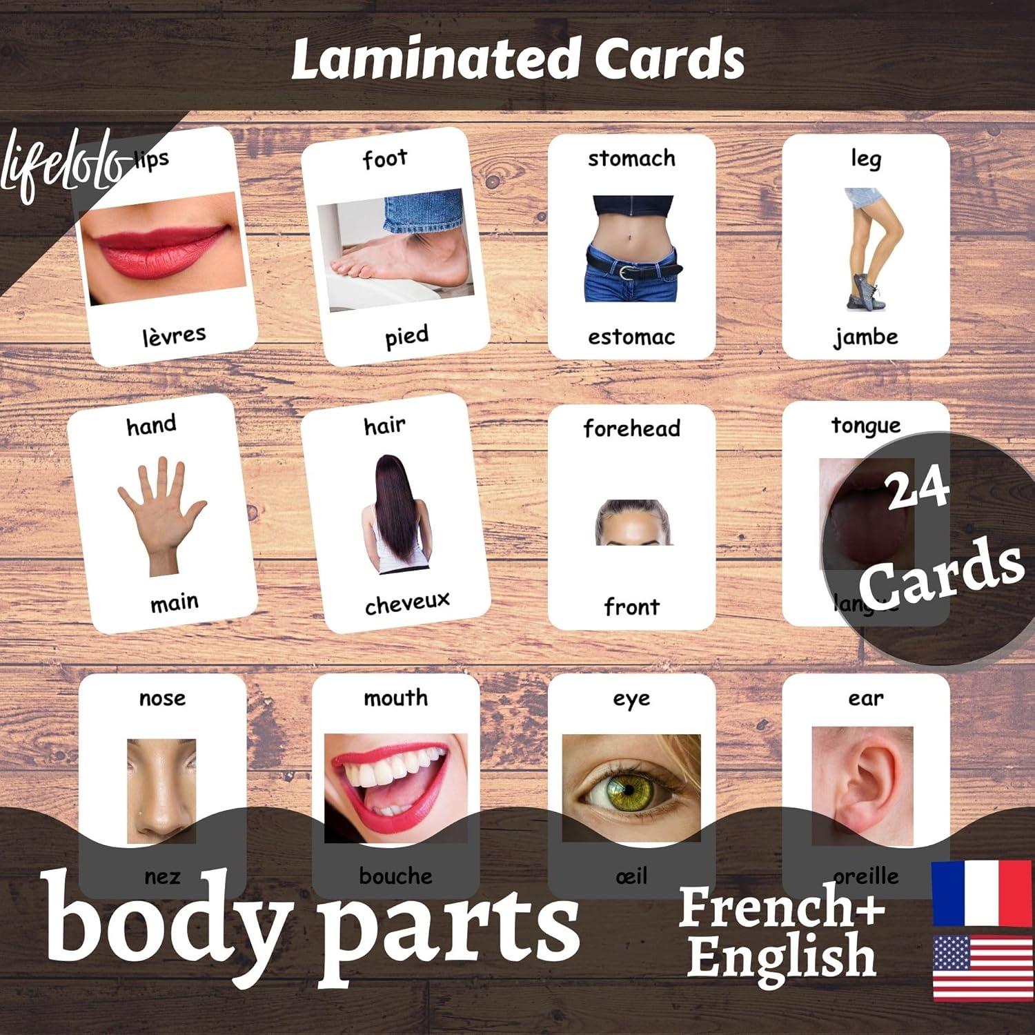 Tarjetas de Flash Bilingües Francés-Inglés LifeLoLo - Partes del Cuerpo