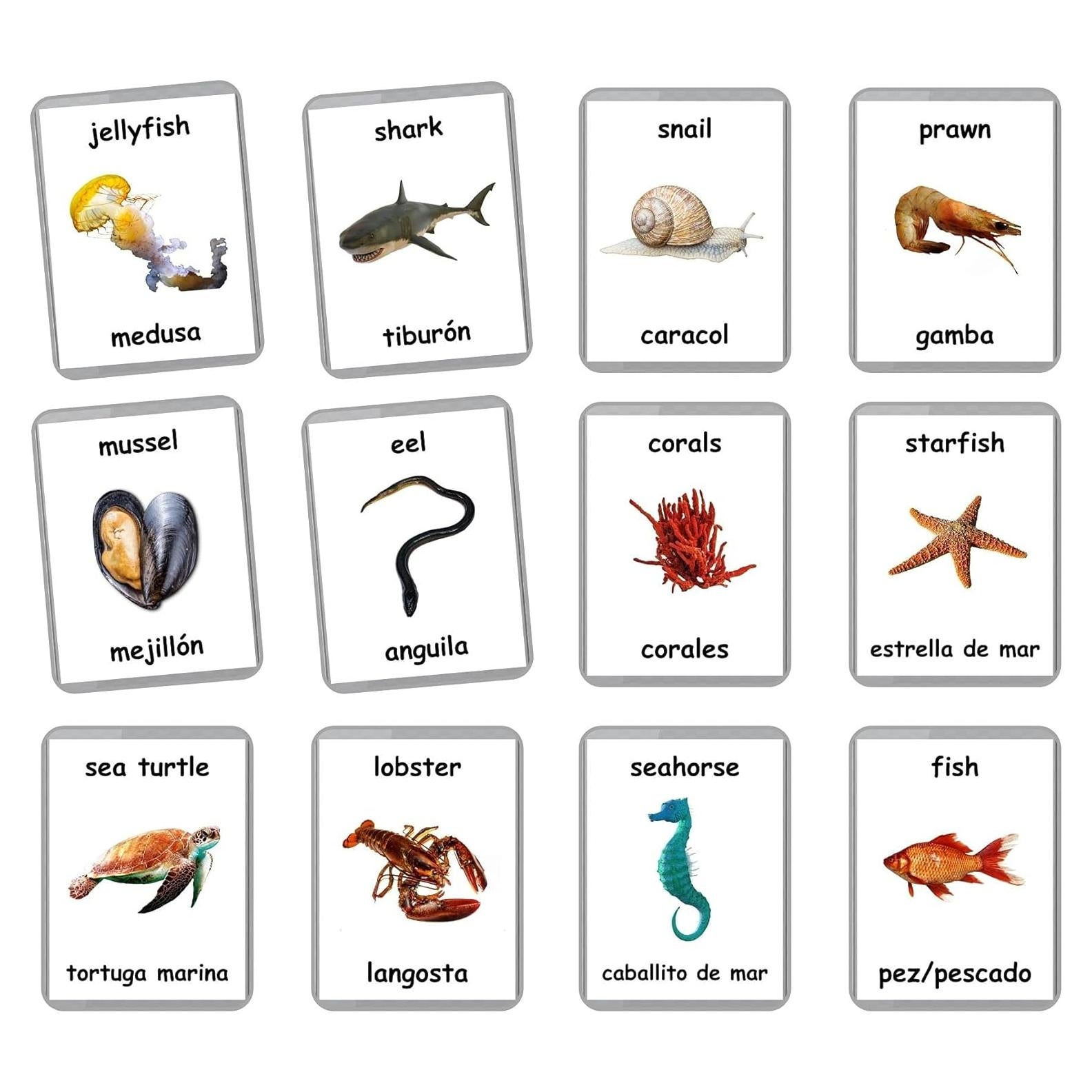 Tarjetas de Flash Laminadas Animales Marinos - 26 Piezas Bilingües