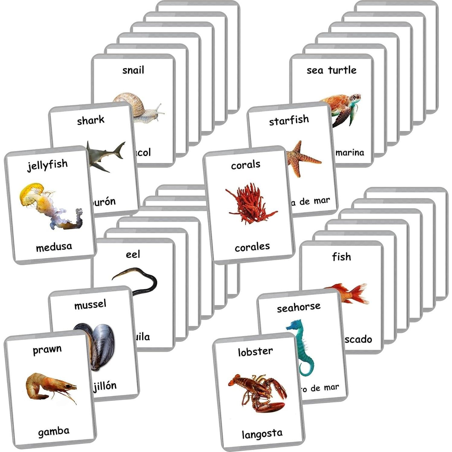 Tarjetas de Flash Laminadas Animales Marinos - 26 Piezas Bilingües