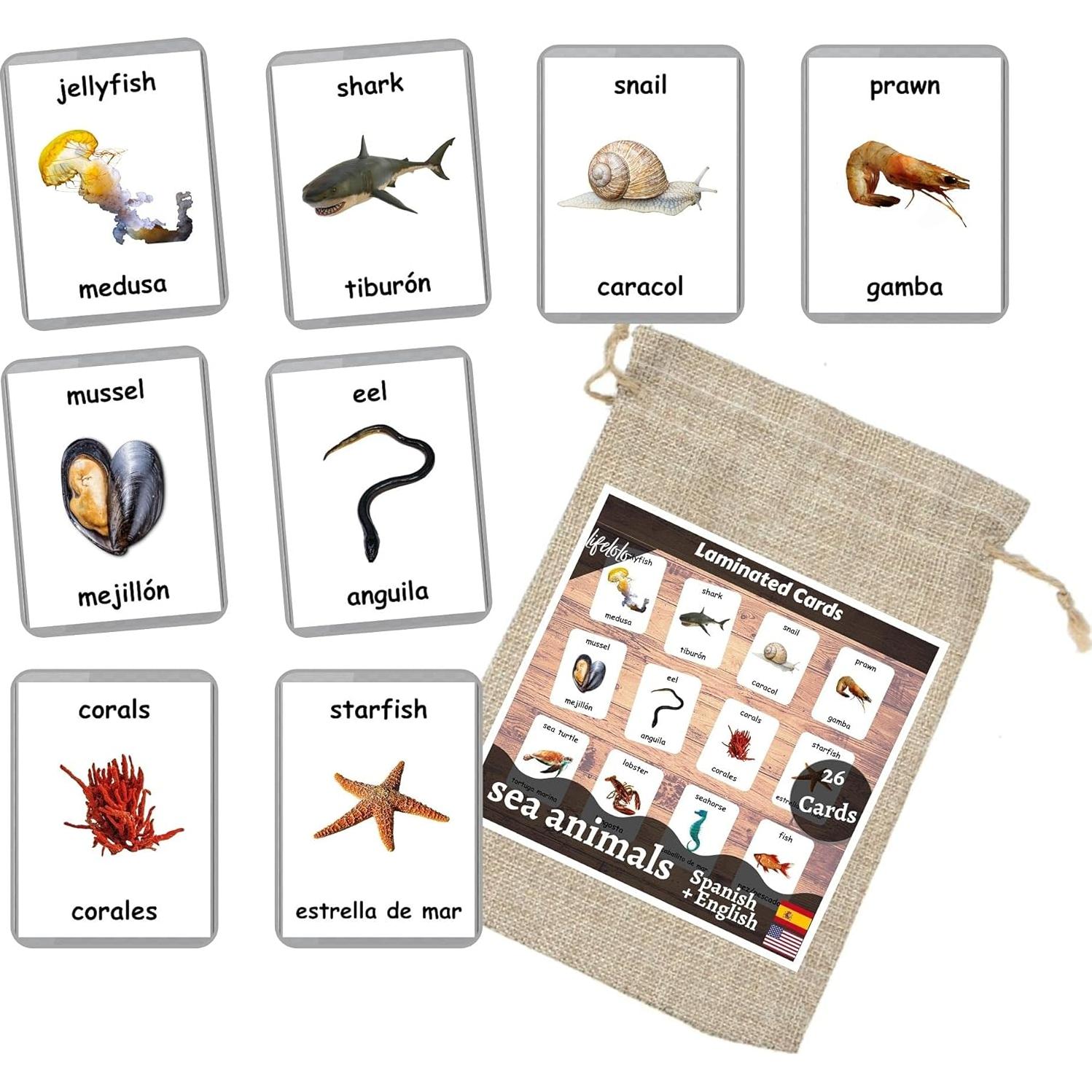Tarjetas de Flash Laminadas Animales Marinos - 26 Piezas Bilingües