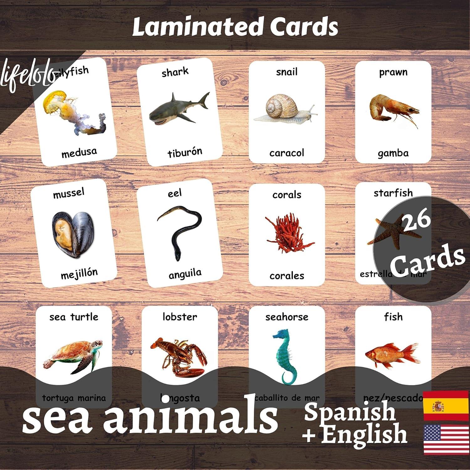 Tarjetas de Flash Laminadas Animales Marinos - 26 Piezas Bilingües