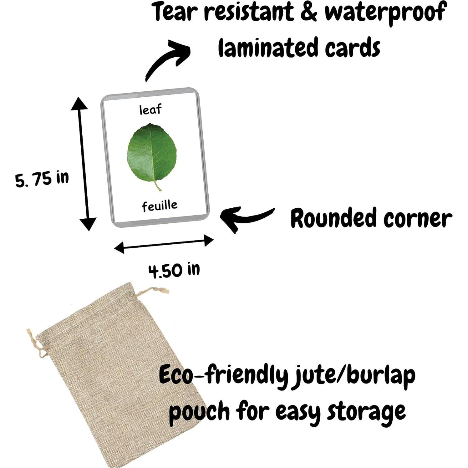 Tarjetas de Palabras Iniciales LifeLoLo - 48 Tarjetas Bilingües