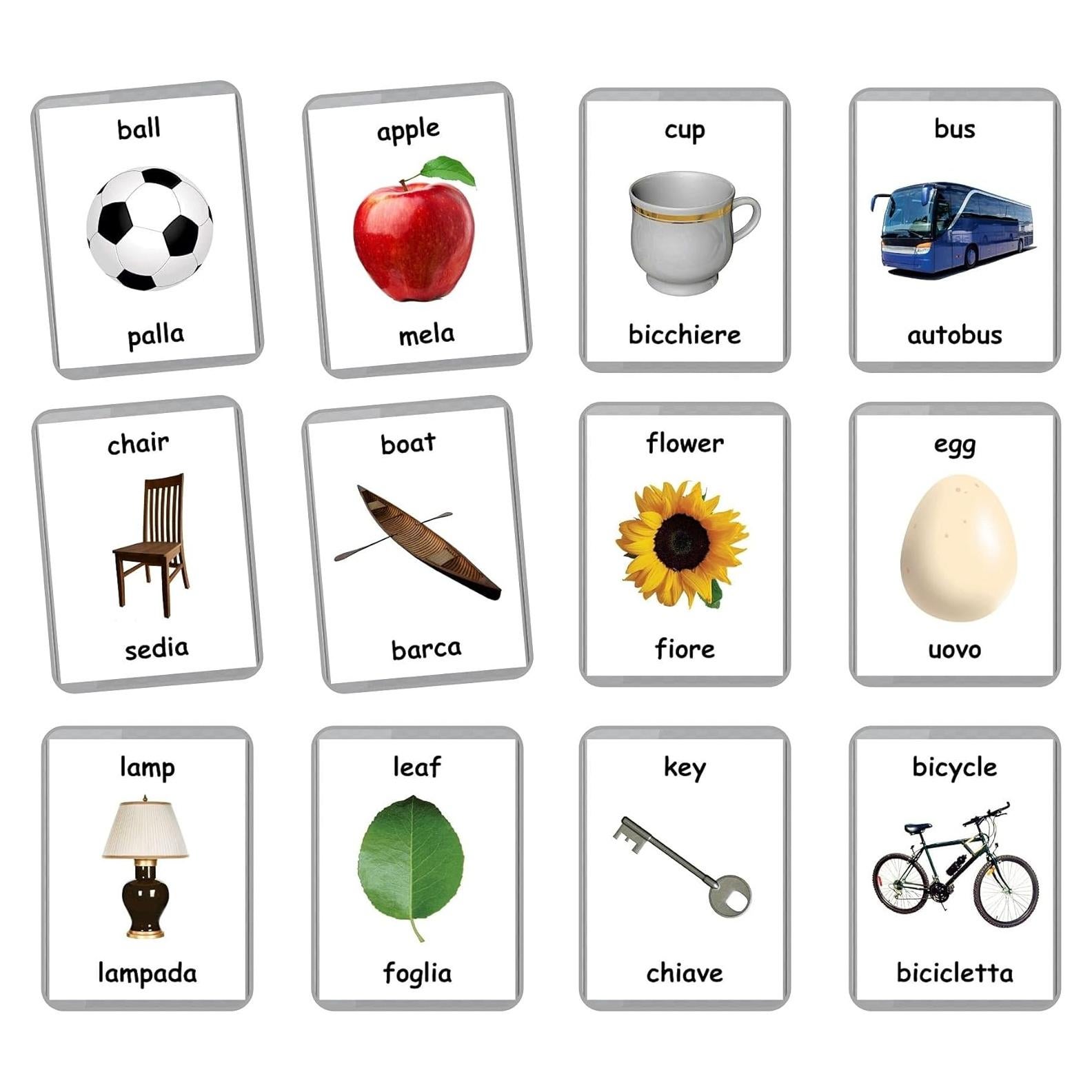 Tarjetas de Flash Bilingües LifeLoLo - 48 Palabras para Bebés