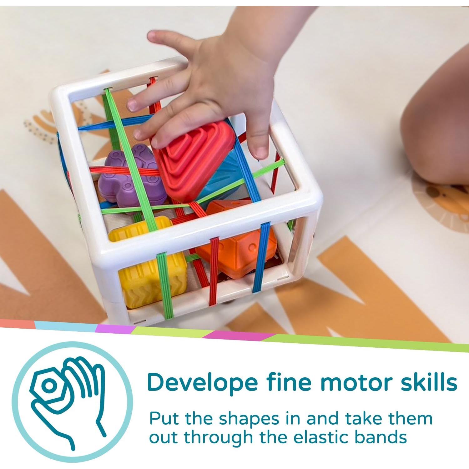 Juguete Clasificador Montessori LiKee 12.7 cm 18+ meses