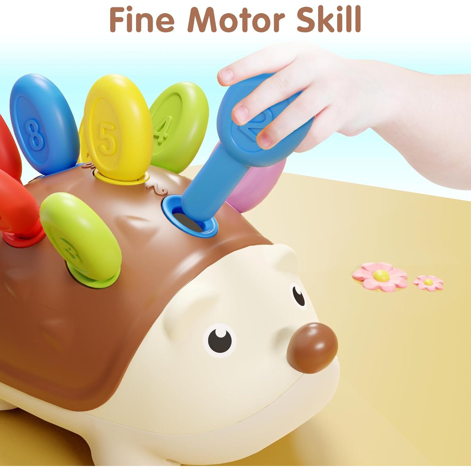 Juguete Educativo iPlay, iLearn Erizo Montessori 1-3 Años