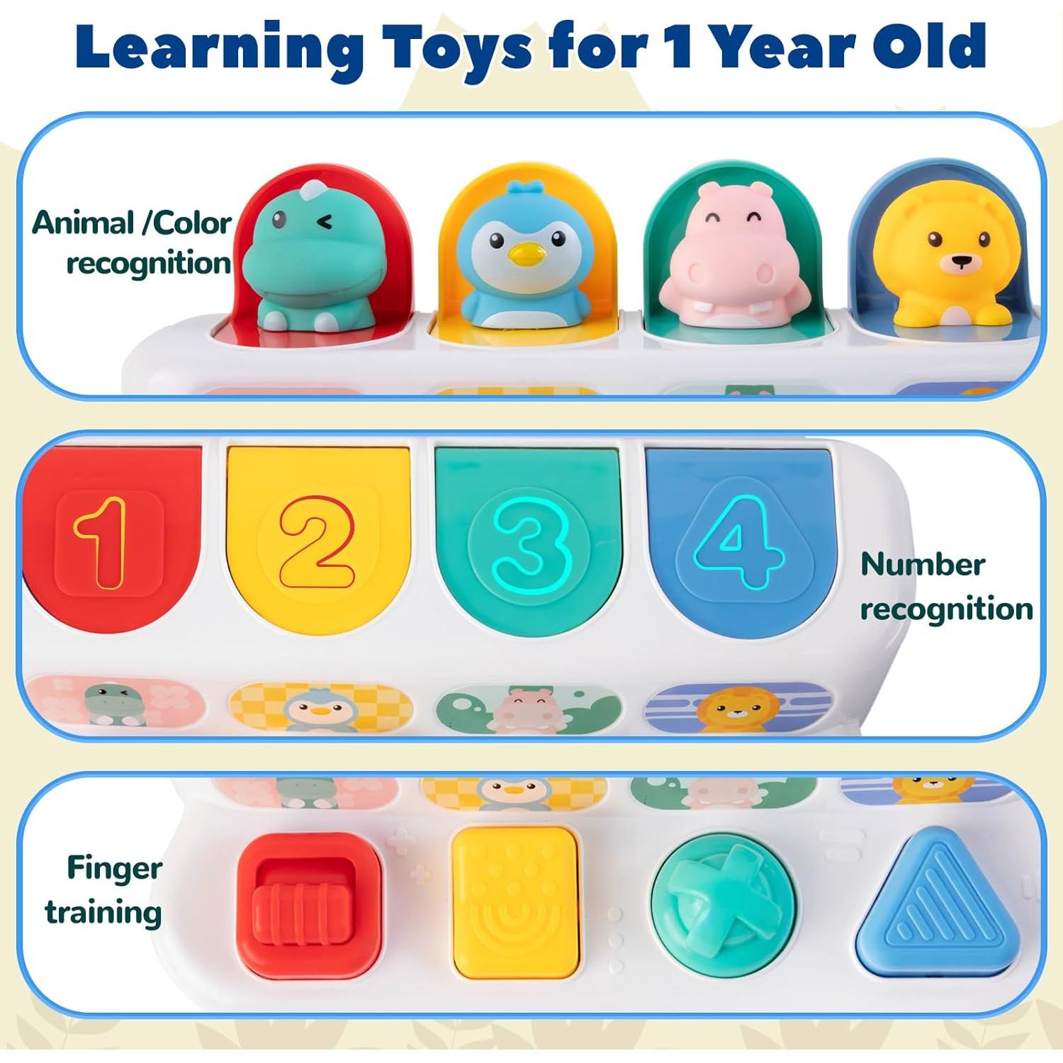 Juguete Montessori Tovol Zerky Causa y Efecto 12-18 Meses