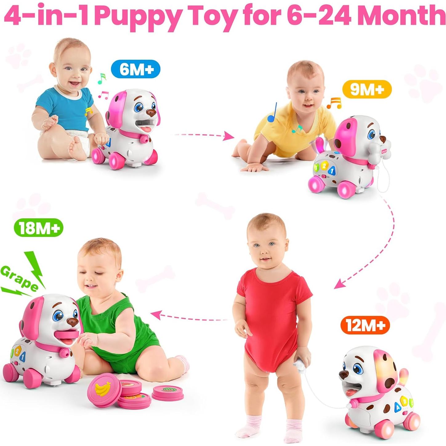 Juguete Musical Cachorro HYC Rosa 4 en 1 para Bebés 6-18 Meses