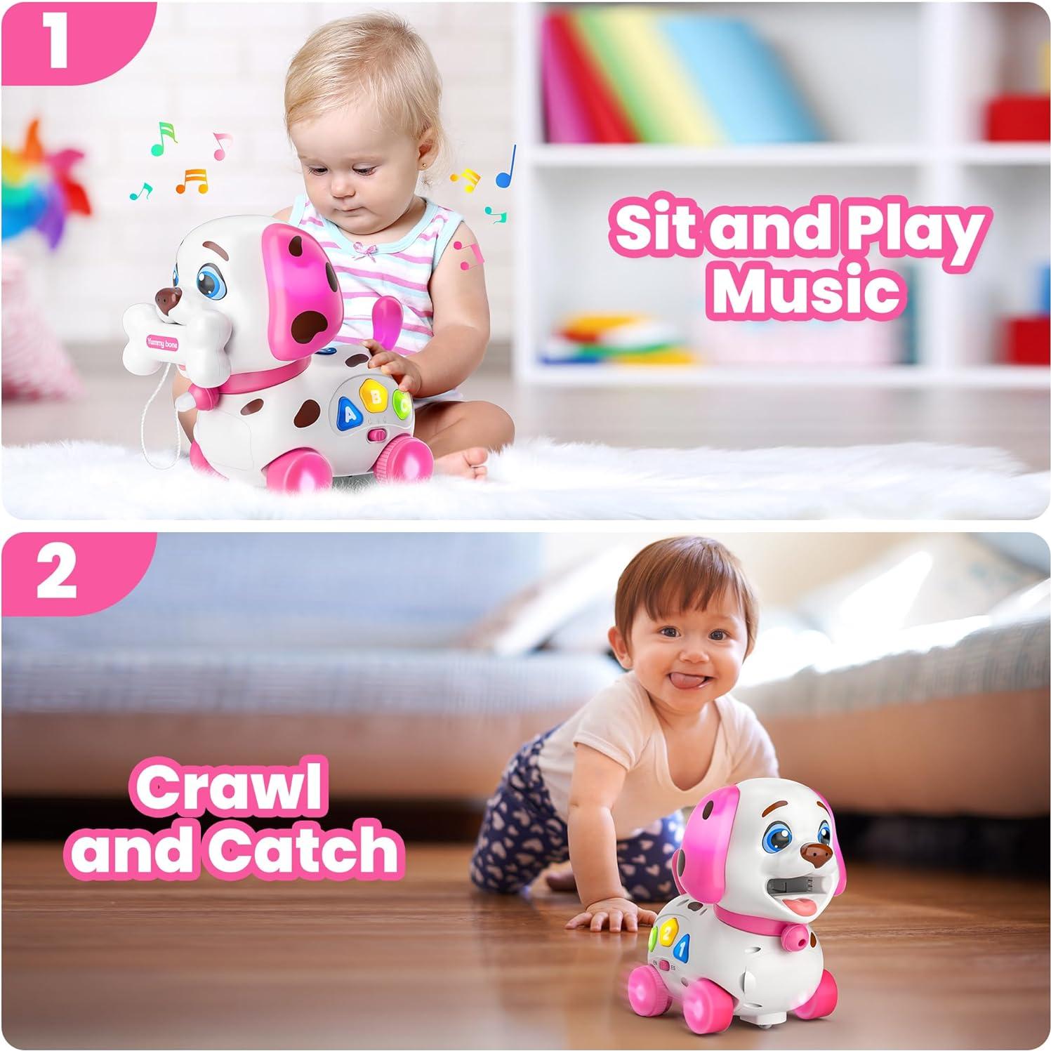 Juguete Musical Cachorro HYC Rosa 4 en 1 para Bebés 6-18 Meses