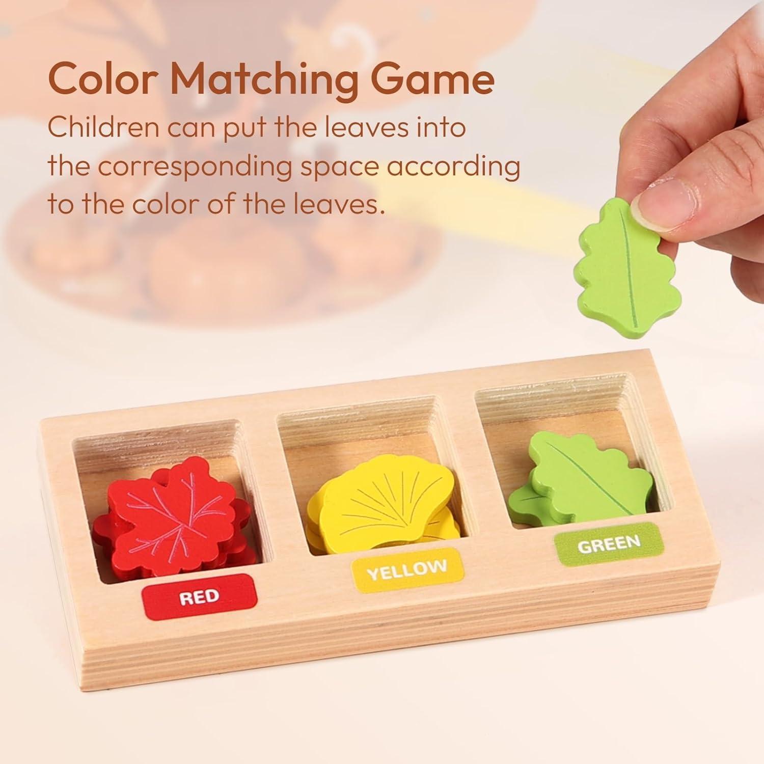 Juguete Montessori Woodtoe Recolección de Calabazas 36 PCS