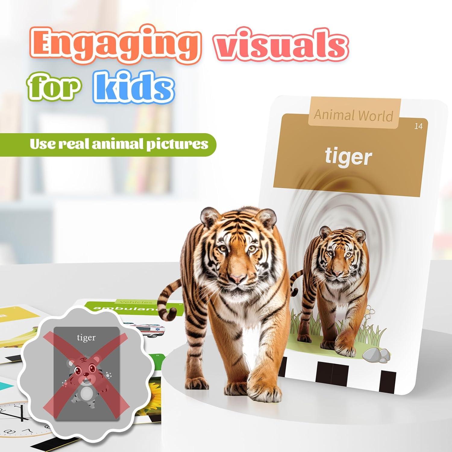 HOMESTEC Tarjetas de Flash Educativas 216 Piezas para Niños 3-6 Años