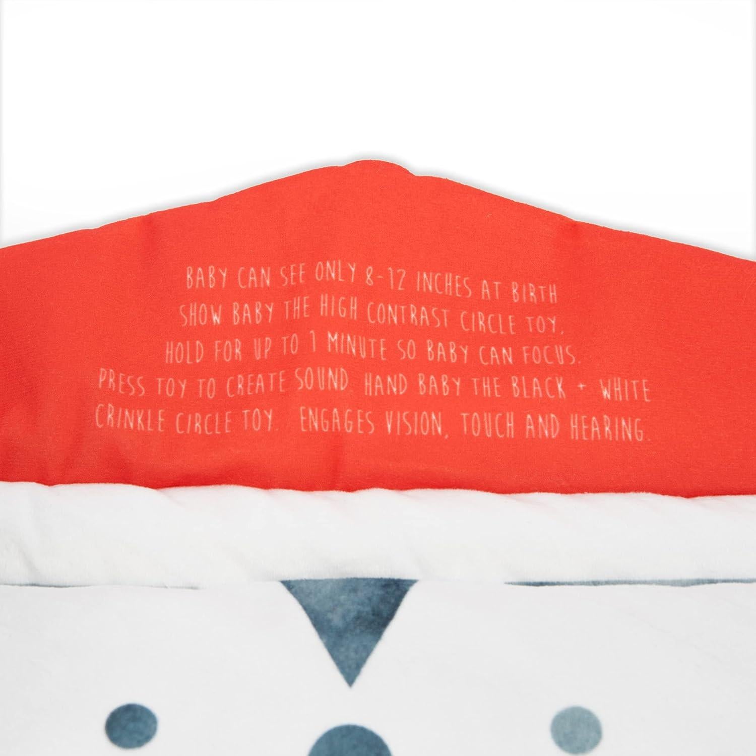 Tapete de Juego Sassy Hola Bebé 2 en 1 con 4 Zonas de Desarrollo