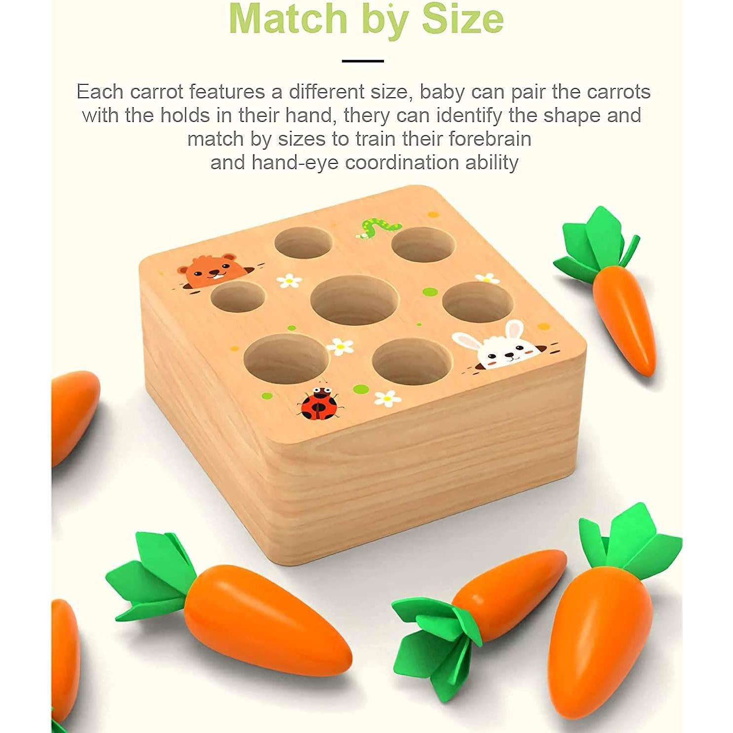 Juguete Montessori de Madera RECHIATO para Bebés 1-5 Años