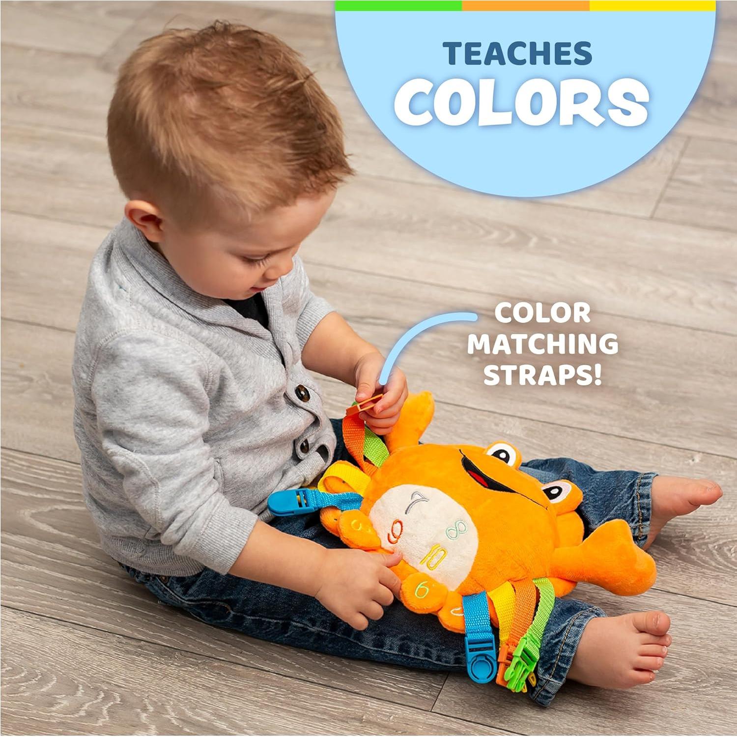 Juguete de Peluche Barney Crab Buckle Toys - Aprendizaje Montessori