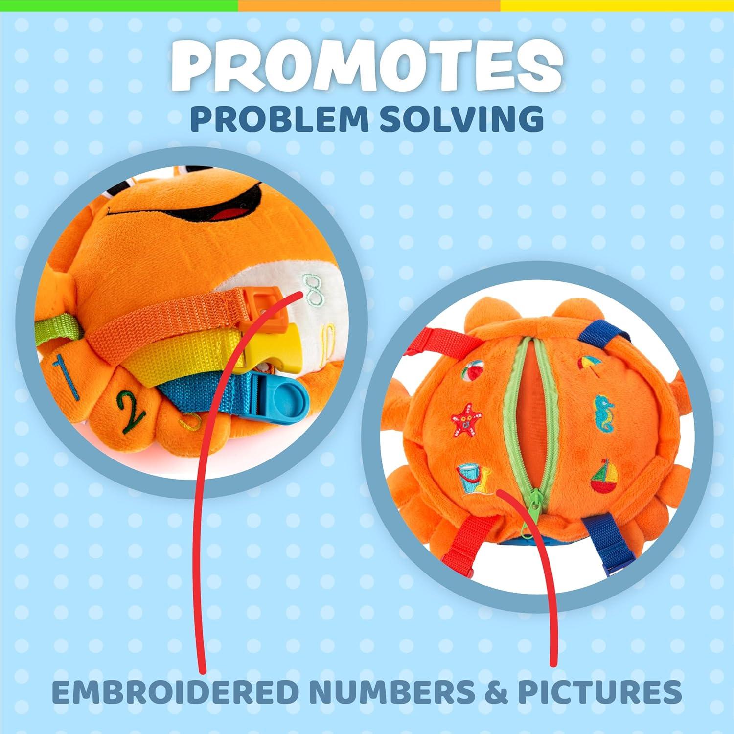 Juguete de Peluche Barney Crab Buckle Toys - Aprendizaje Montessori