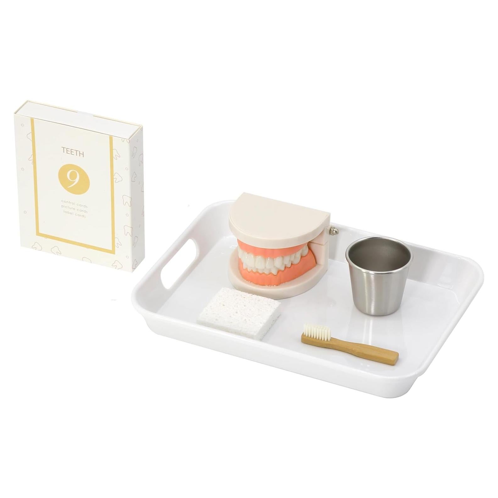 Bandeja de Presentación para Cepillado de Dientes Kiddison - Montessori