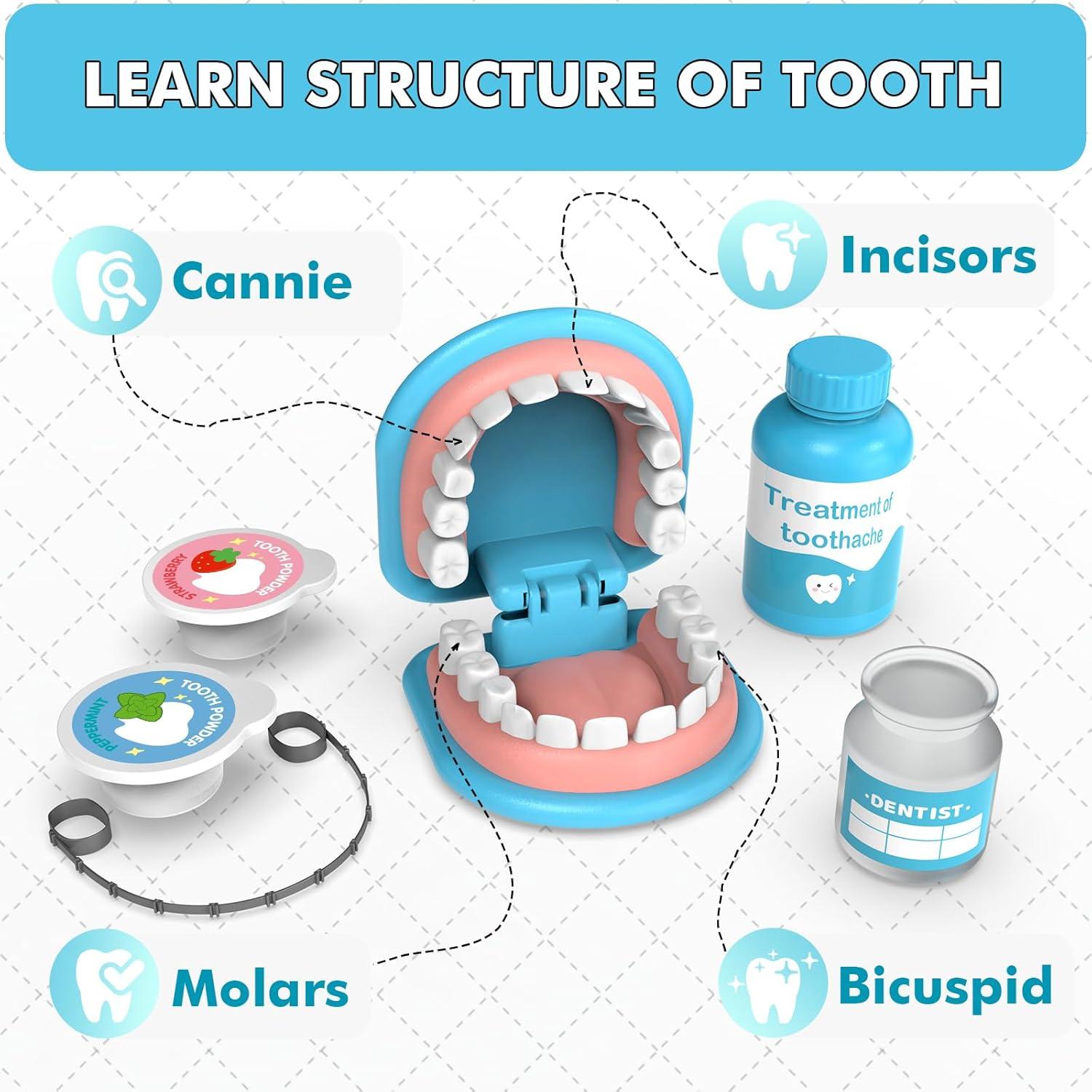 Juego de Dentista Trulloyoo para Niños 3 a 5 Años - Kit Educativo