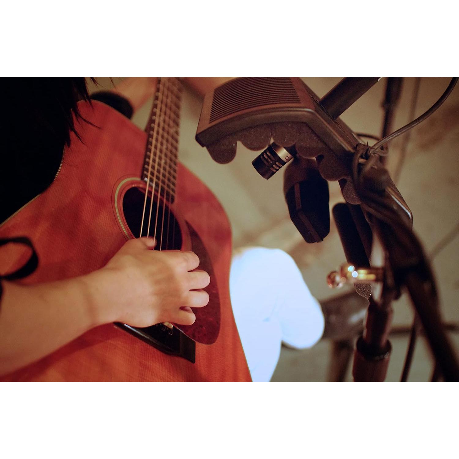 Filtro de Aislamiento Portátil SE Electronics GUITARF 2.13 kg