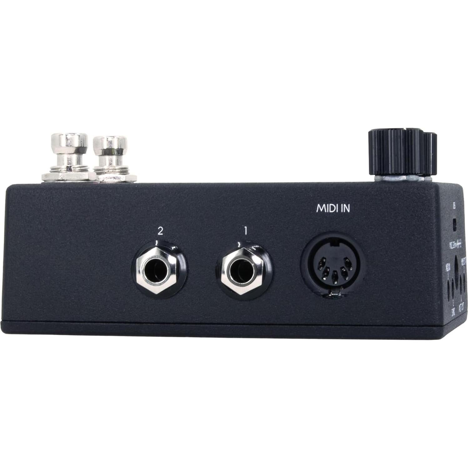 Reloj MIDI Canvas Walrus Audio - Sincronizador de Tempo