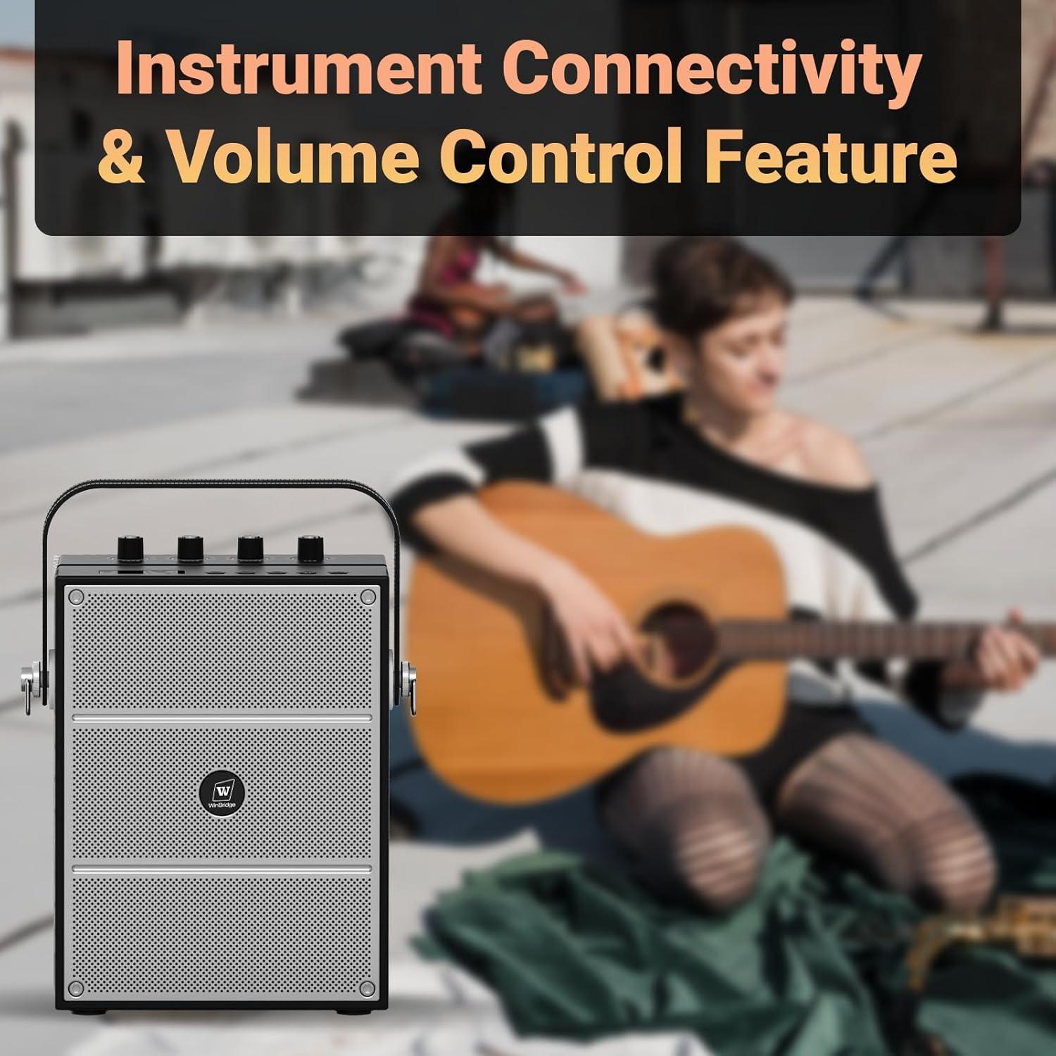 Altavoz Bluetooth WinBridge S97 60W con Micrófonos Inalámbricos