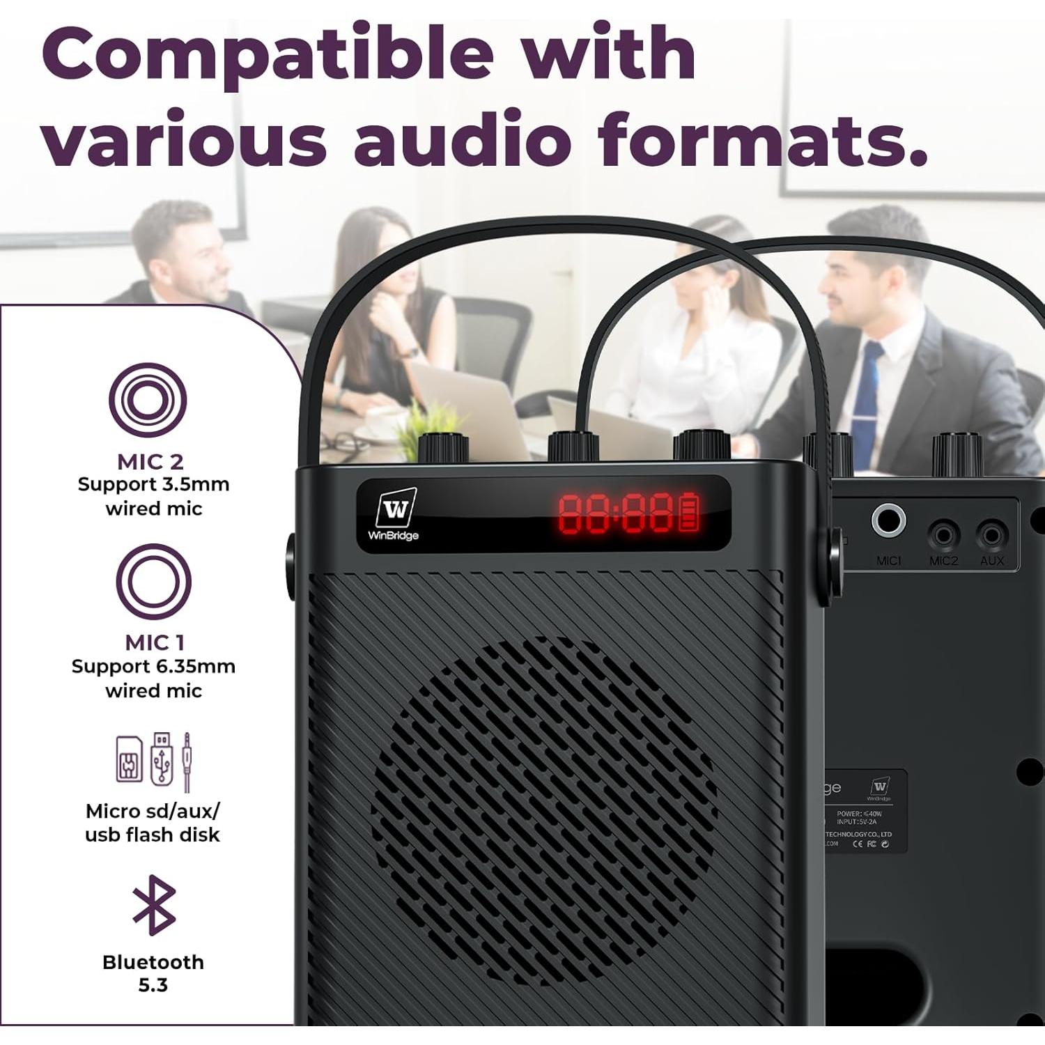 Amplificador de Voz Inalámbrico S95 40W con Micrófonos UHF