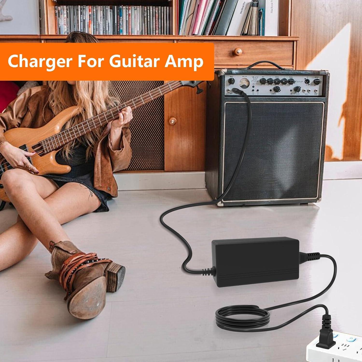 Adaptador de Corriente AC DC 6.5V Blackstar Fly 3