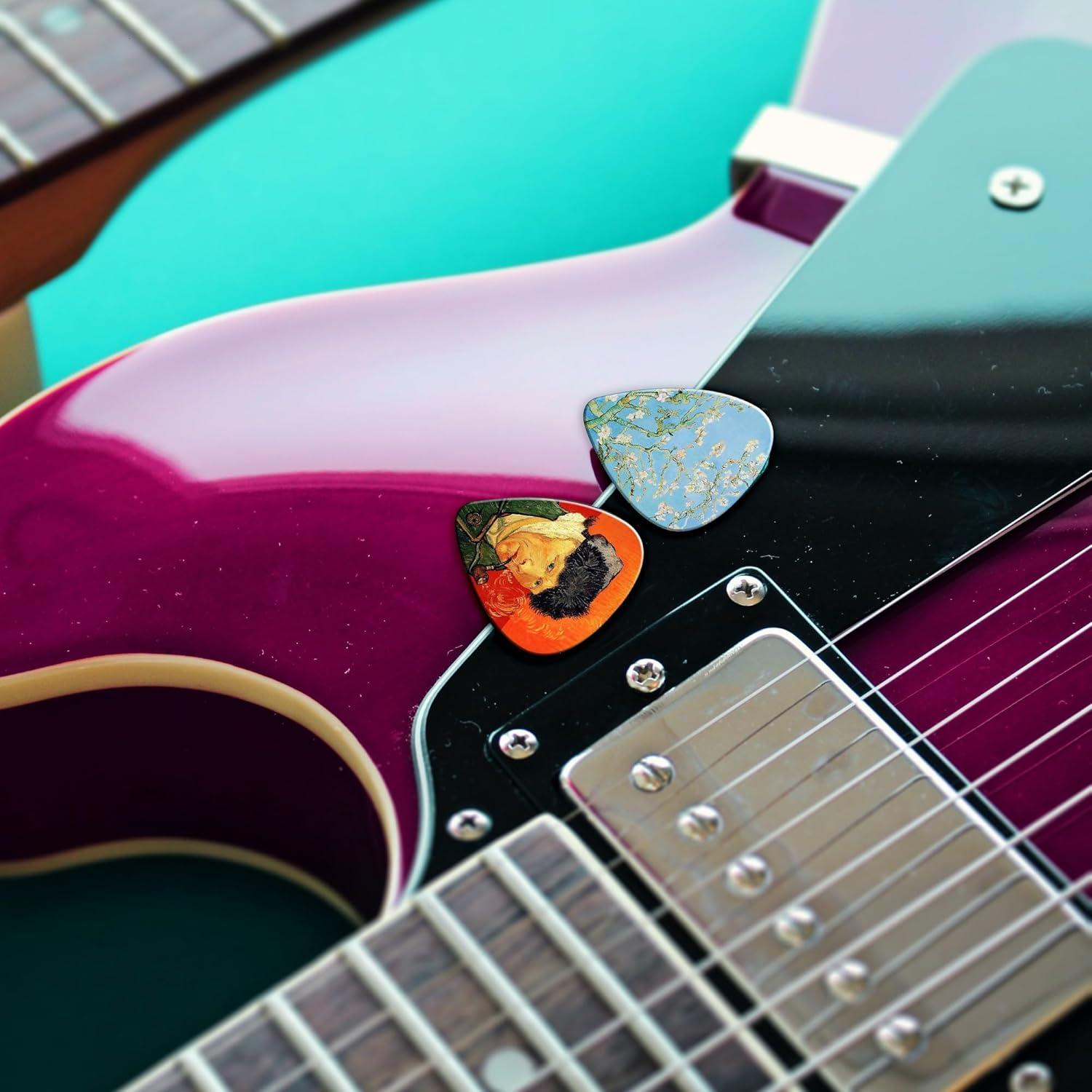 Puas de guitarra medianas 0.71mm Van Gogh - 24 piezas