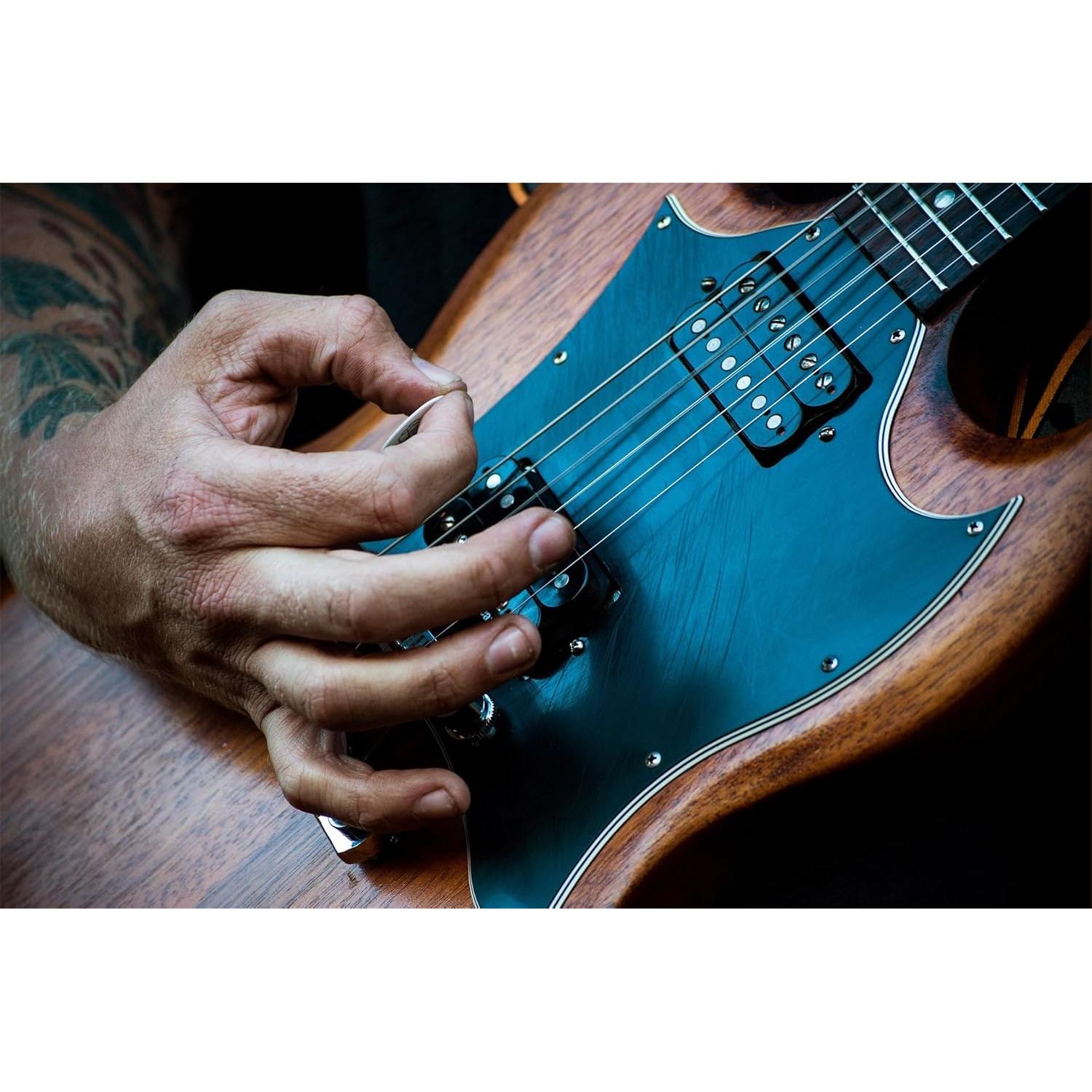 Puas de guitarra D'Andrea Snarling Dog Brain 12 unidades Nylon 0.53mm