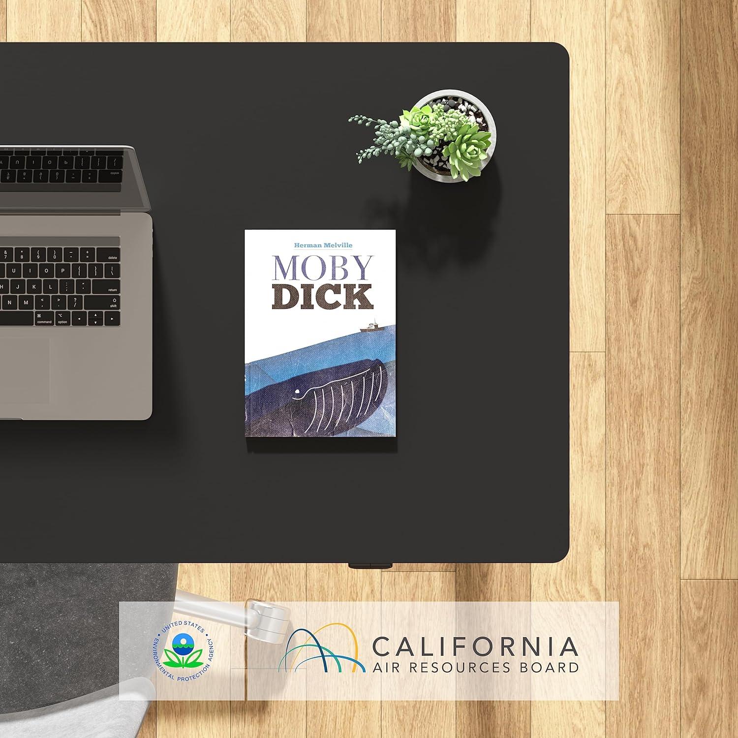 Escritorio de pie FLEXISPOT EN1 eléctrico ajustable 121.9x60.9 cm negro