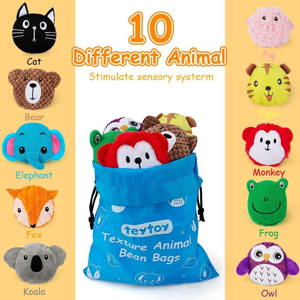 Bolsa de Frijoles Sensorial para Niños 10 Piezas - teytoy