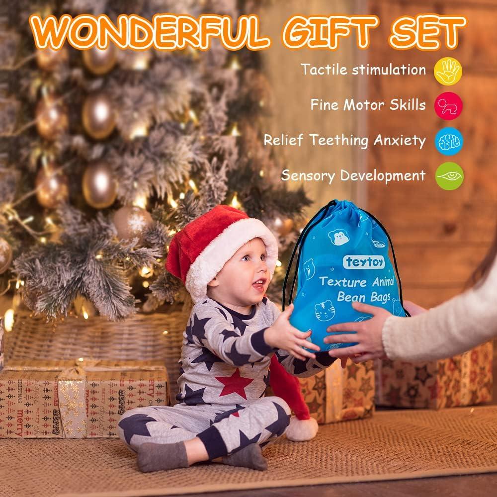 Bolsa de Frijoles Sensorial para Niños 10 Piezas - teytoy