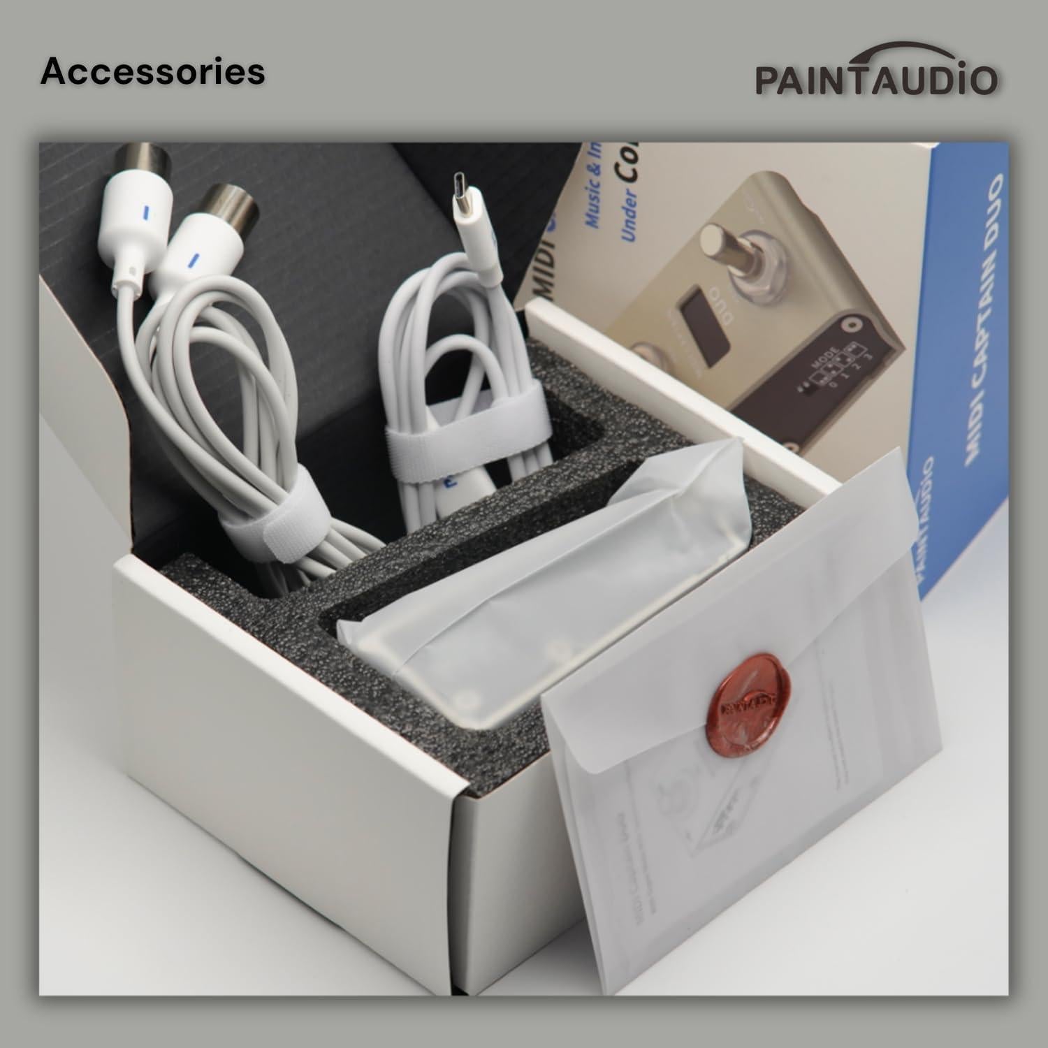 Controlador de pie MIDI Paint Audio Captain DUO USB-MIDI