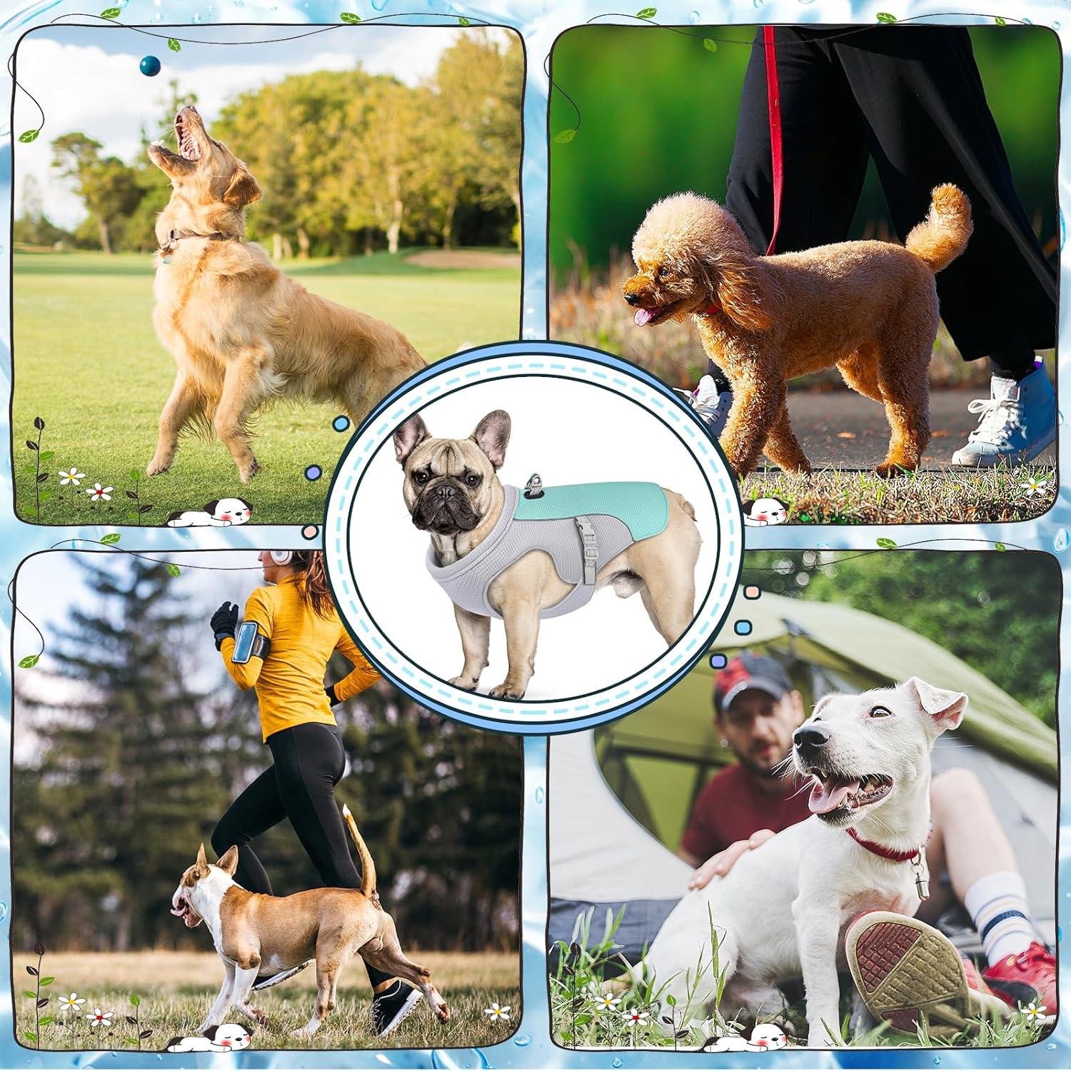 Chaleco Refrigerante para Perros Guzekier con Botella S