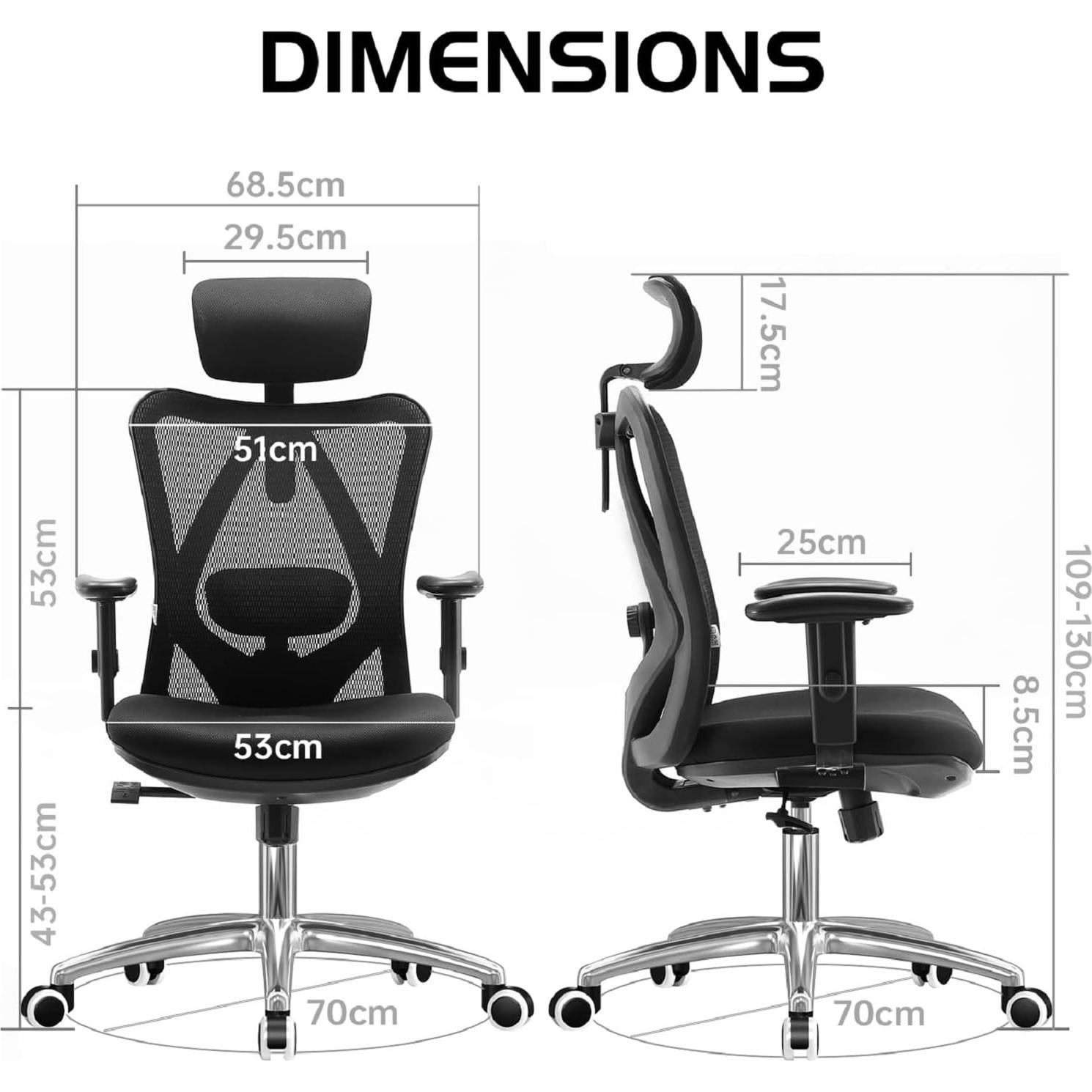 Silla de Oficina Ergonómica SIHOO M18 Negra Ajustable Soporte Lumbar