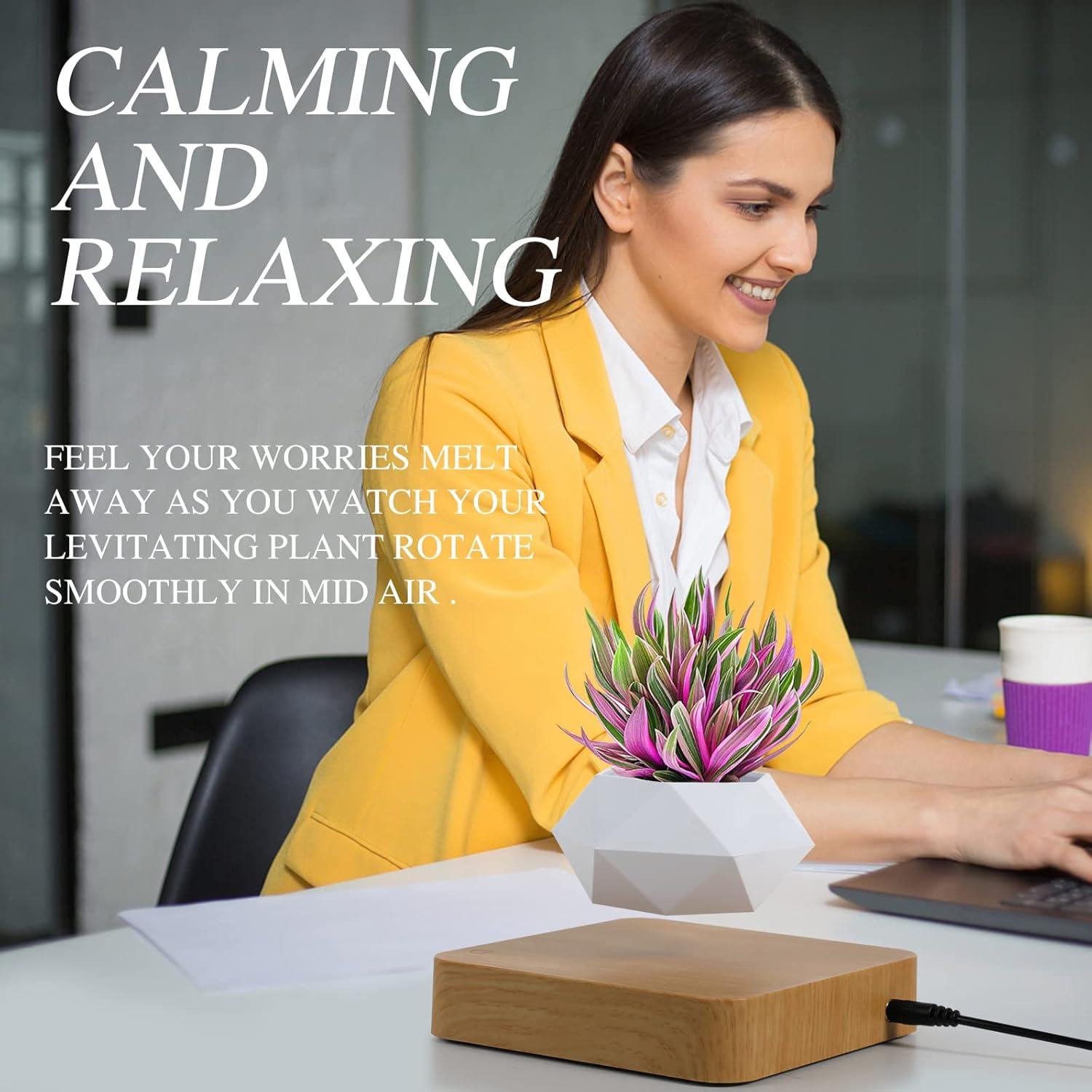 Maceta Bonsai Flotante Babook Cuadrada 9cm Color Claro