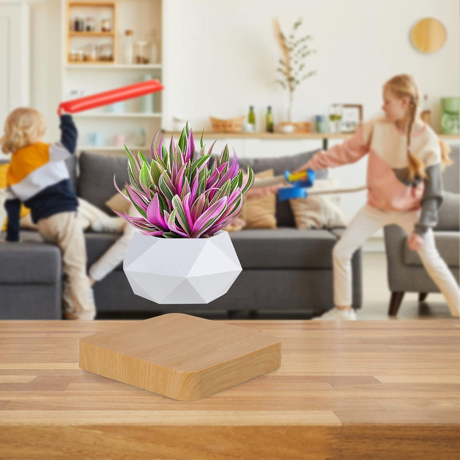 Maceta Bonsai Flotante Babook Cuadrada 9cm Color Claro