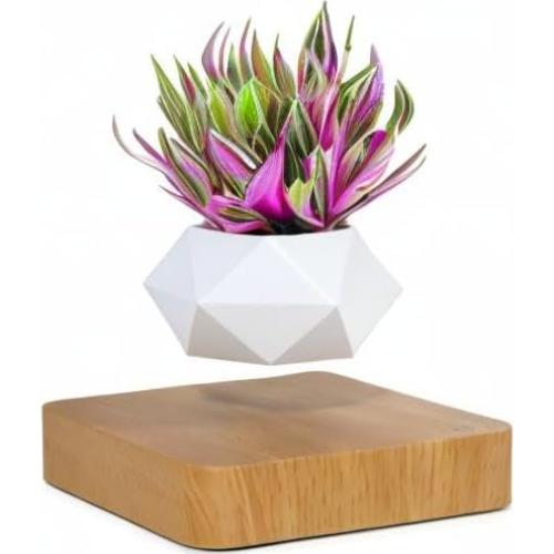 Maceta Bonsai Flotante Babook Cuadrada 9cm Color Claro