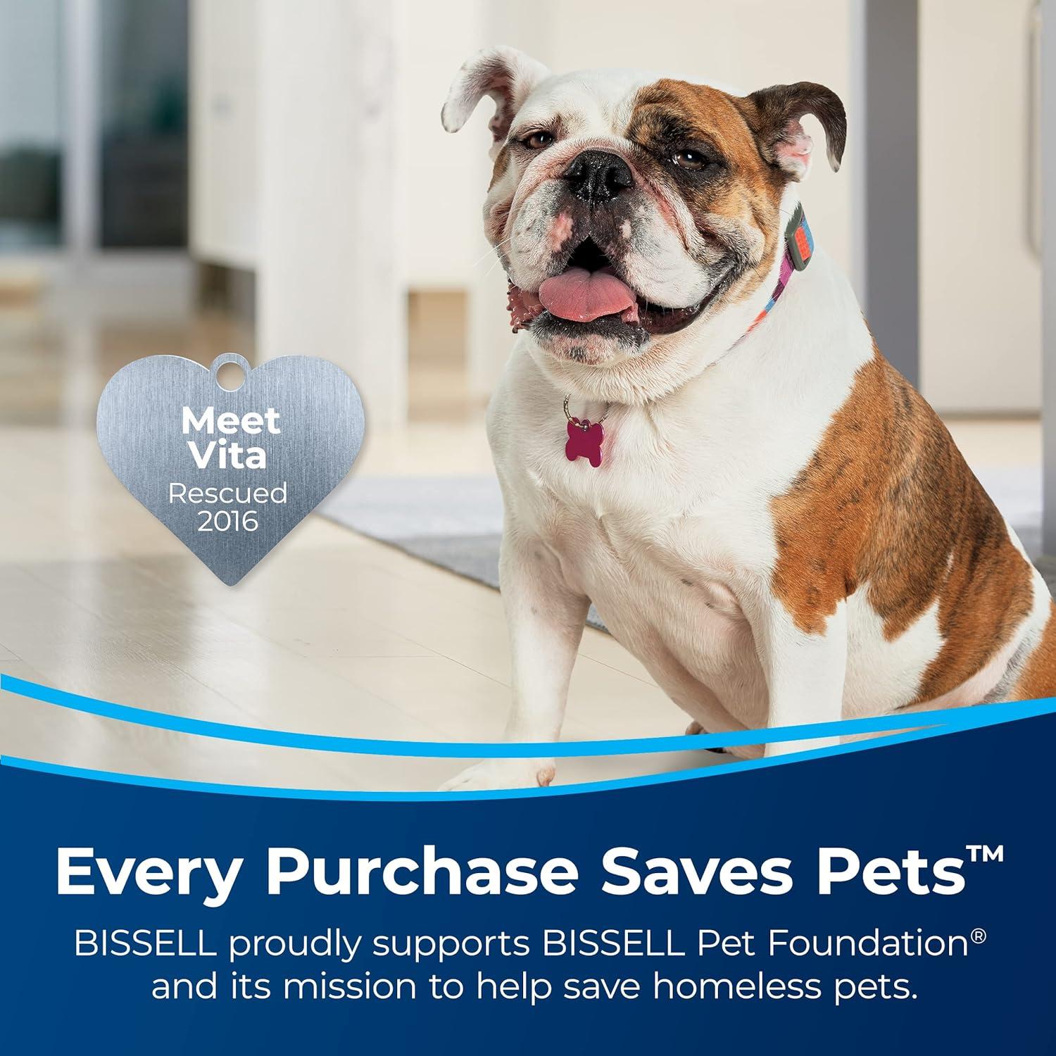 Limpiador portátil de alfombras Bissell Little Green Pro 3194