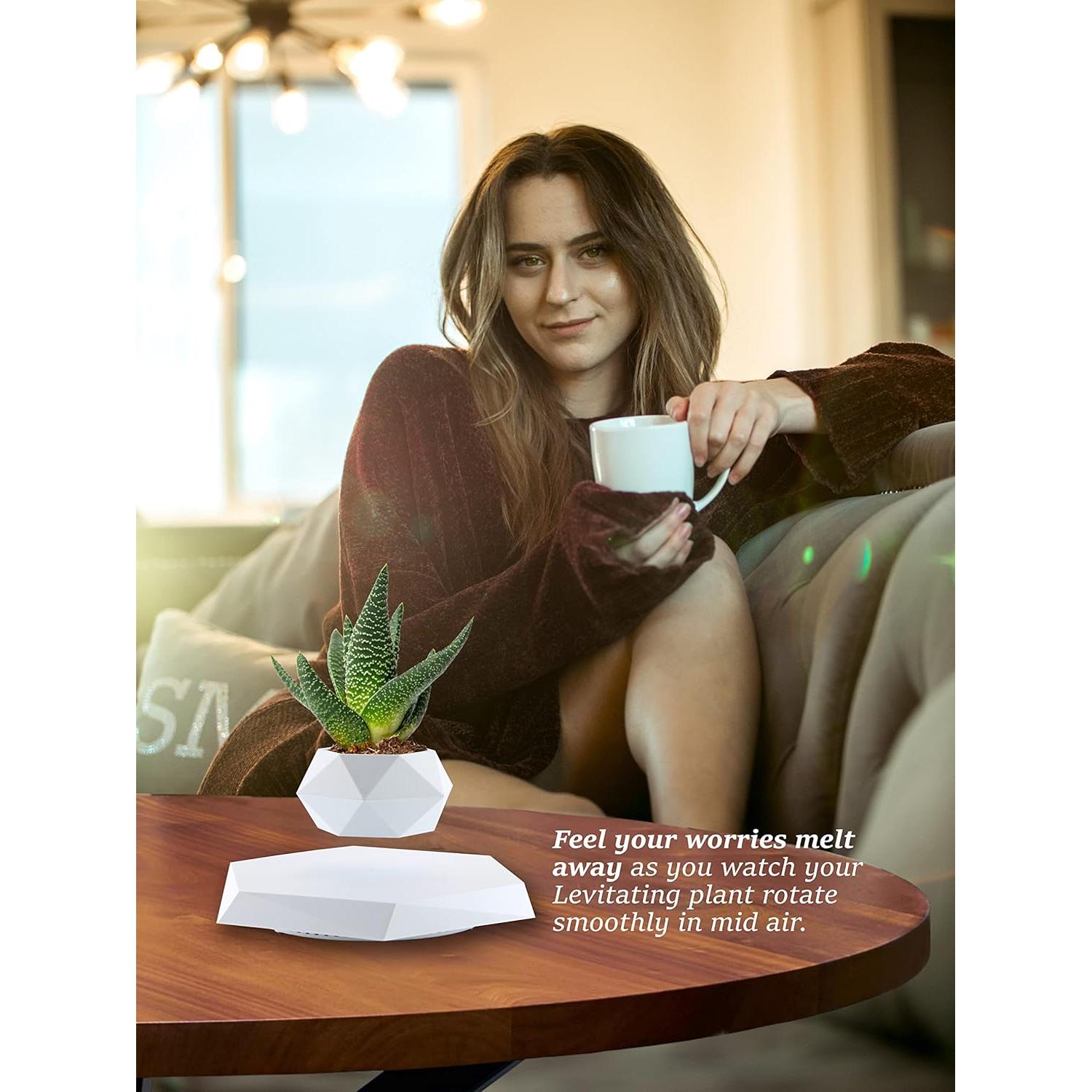 Maceta Flotante YFUG GO Blanca para Suculentas y Bonsai