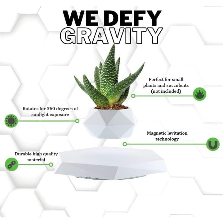 Maceta Flotante YFUG GO Blanca para Suculentas y Bonsai